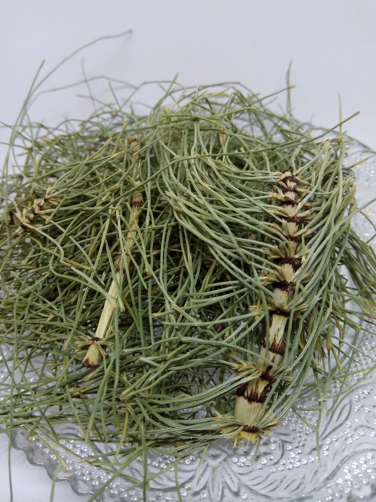 Horsetail Equisetum arvense dried Leaf Leaves Loose Herbal Organic Tea