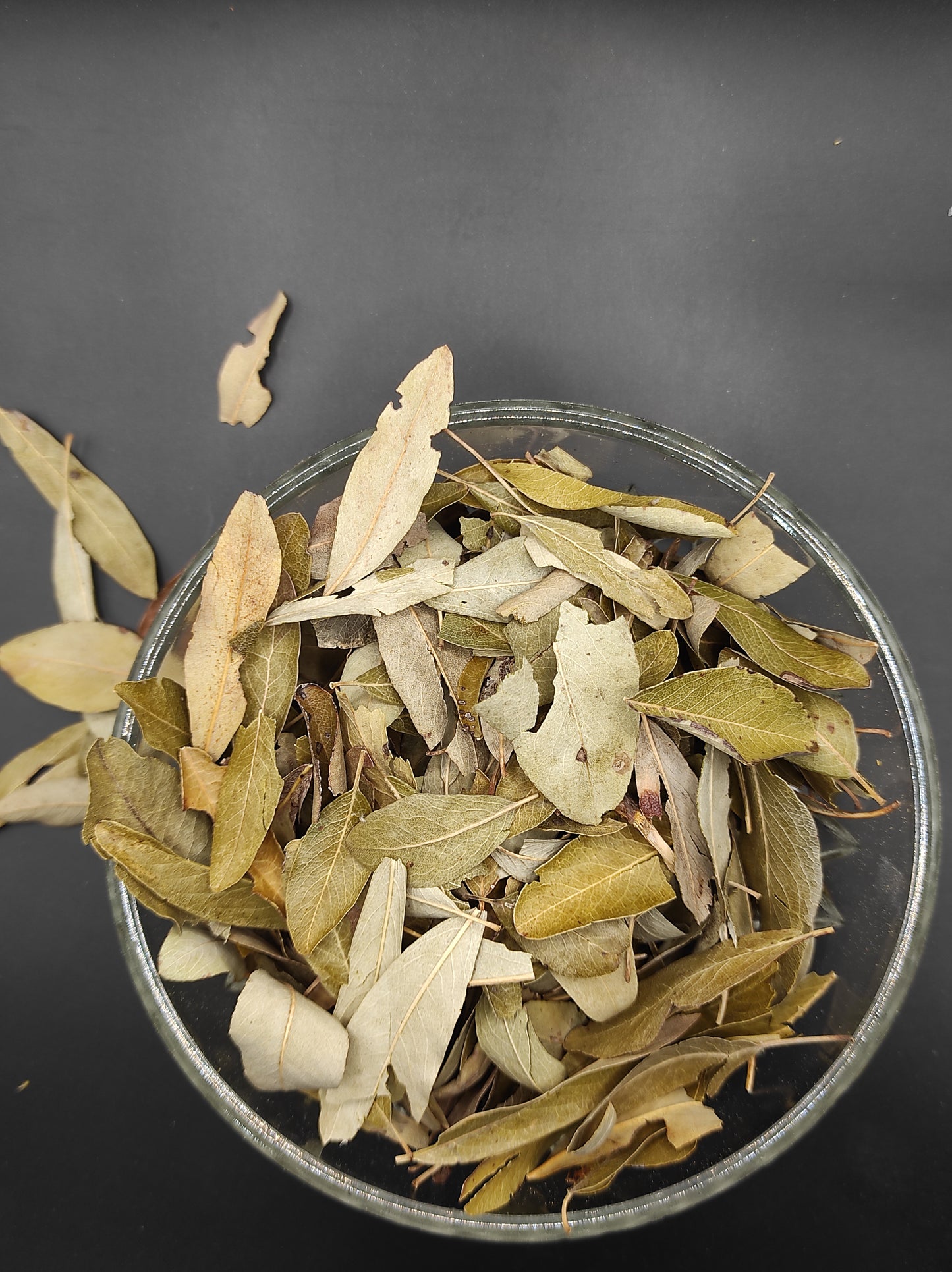 WILD PEAR Leaves ORGANIC Dried herb Pyrus pyraster Tea