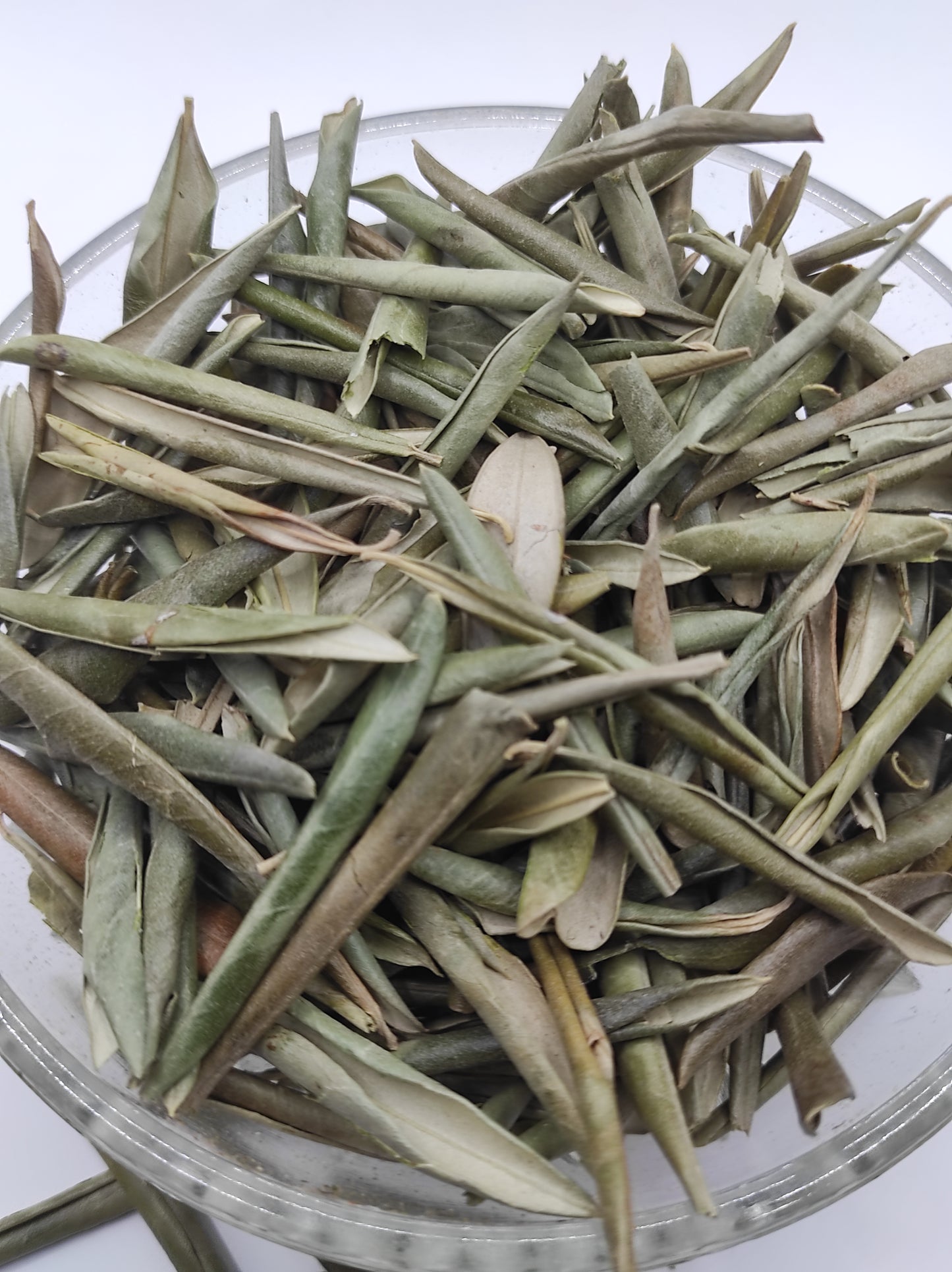 Organic Olive Leaf Tea Olea europaea Dried Leaves Bio Natural