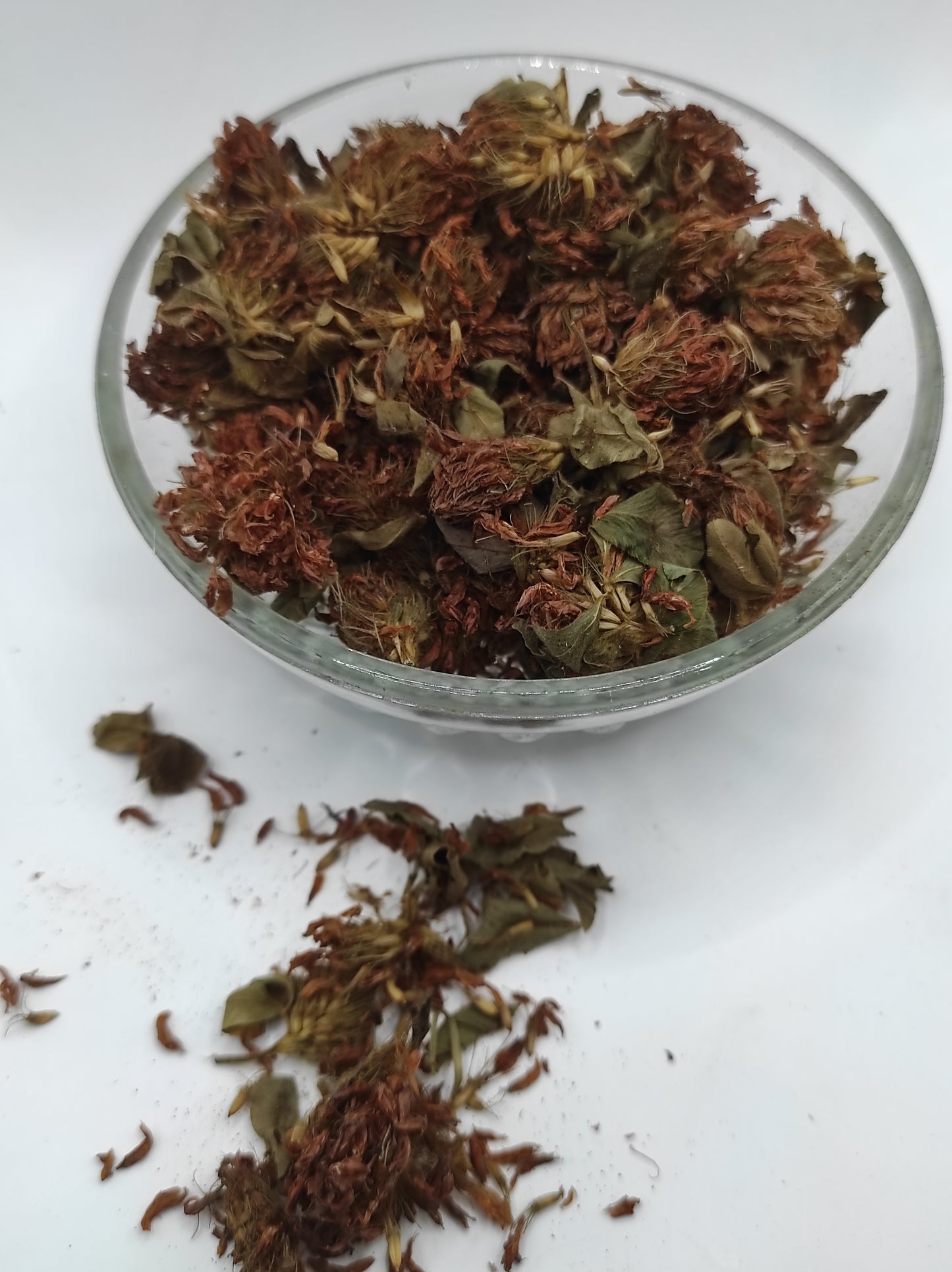 Organic Dried Red Clover Flowers Trifolium pratense Herbal Tea