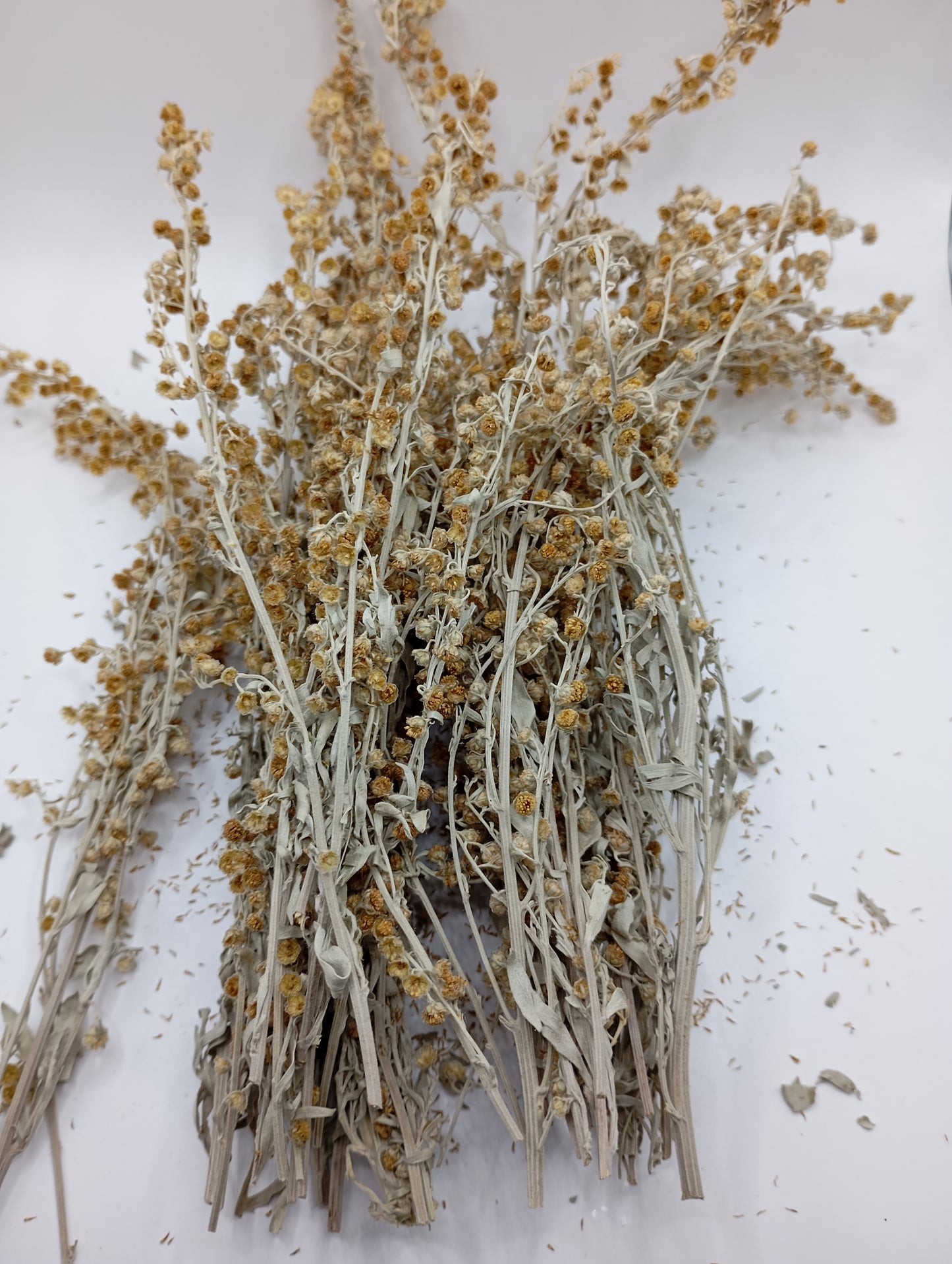Wormwood Artemisia absinthium wild Organic dried tea