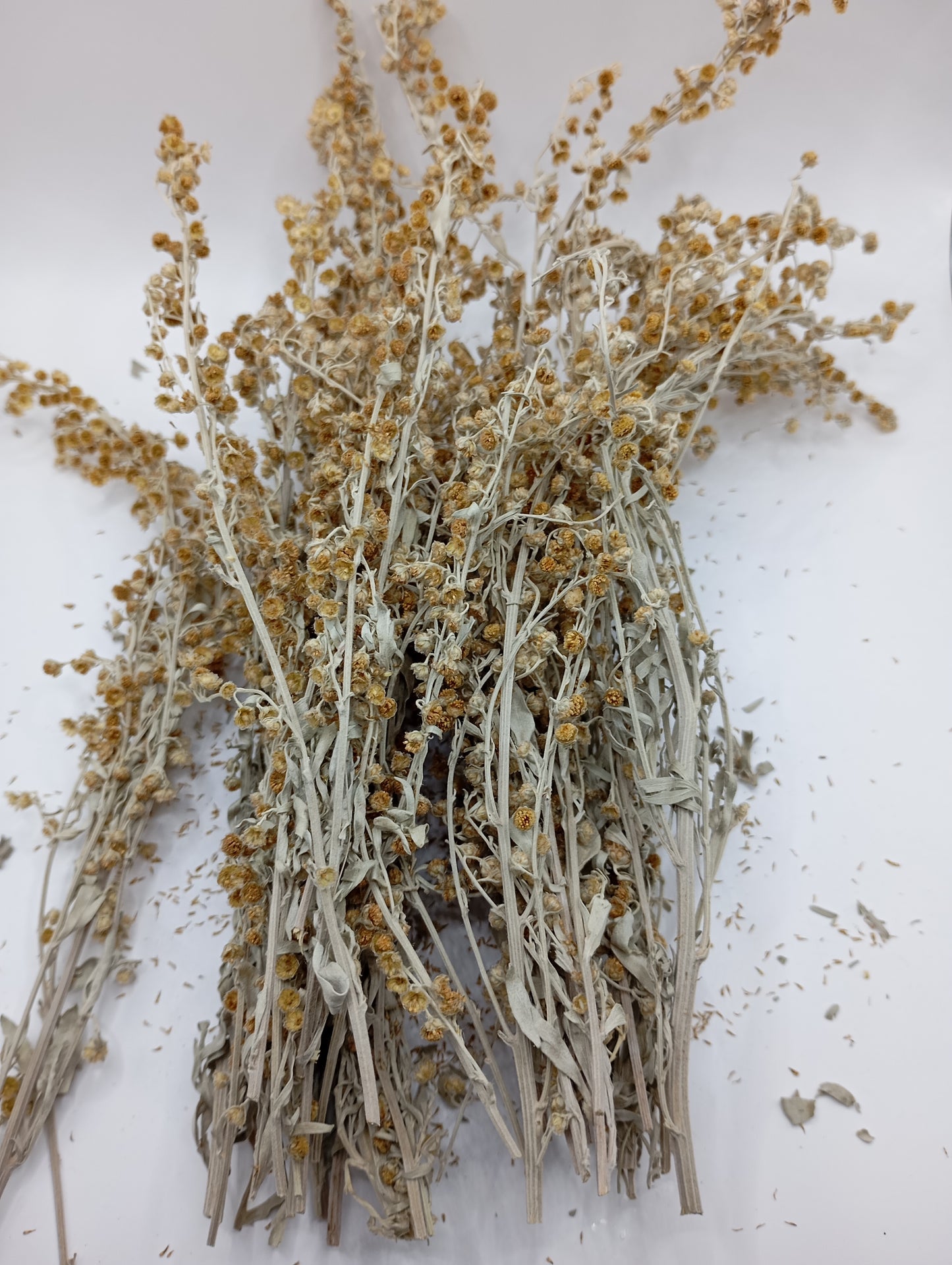 Wormwood Artemisia absinthium wild Organic dried tea