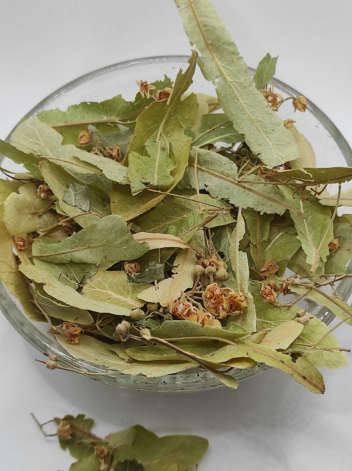 Linden flower bay Tilia Organic dried tea herb bio