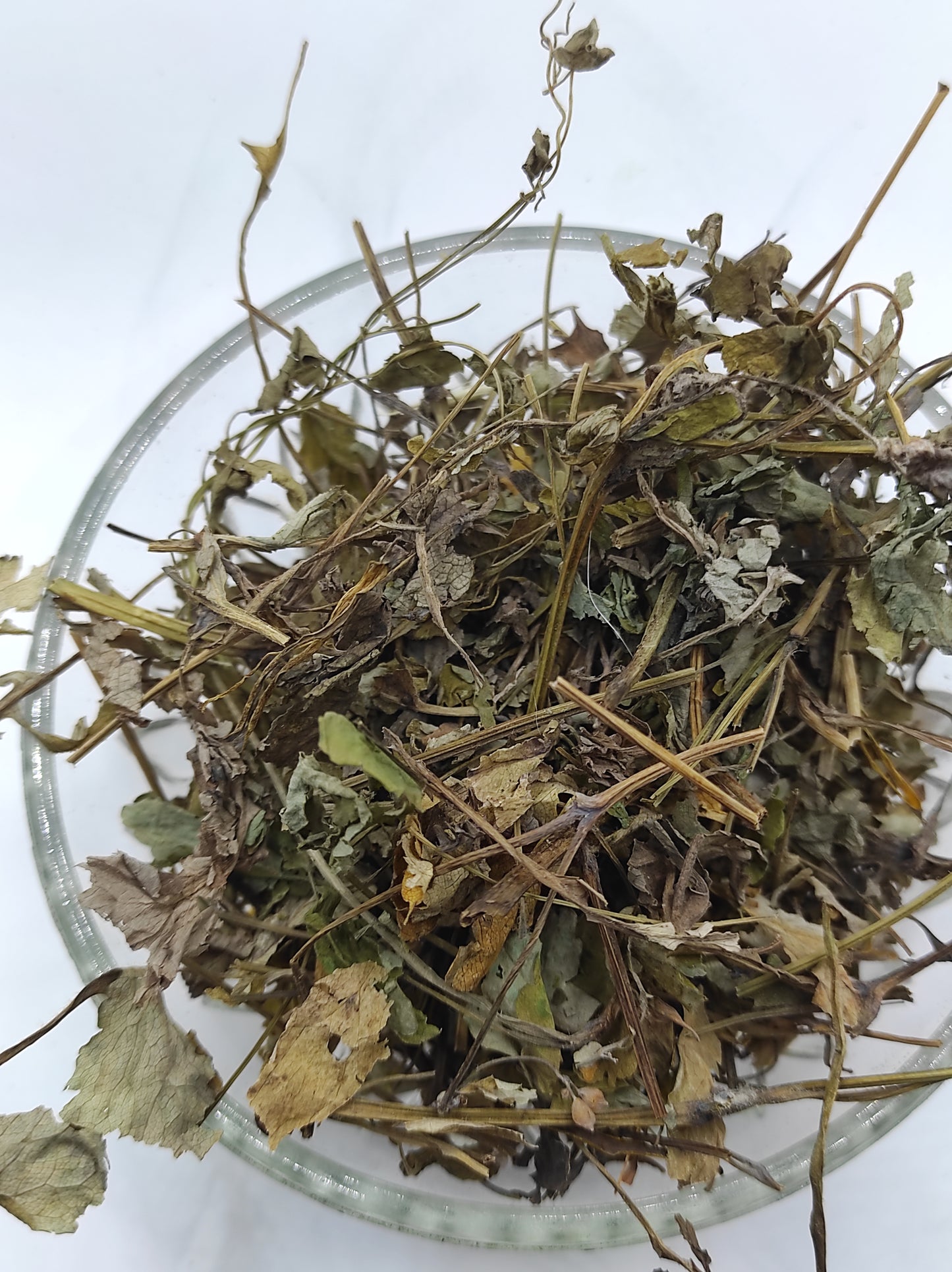 Greater Celandine Dried Herb ORGANIC Tea Chelidonium Majus