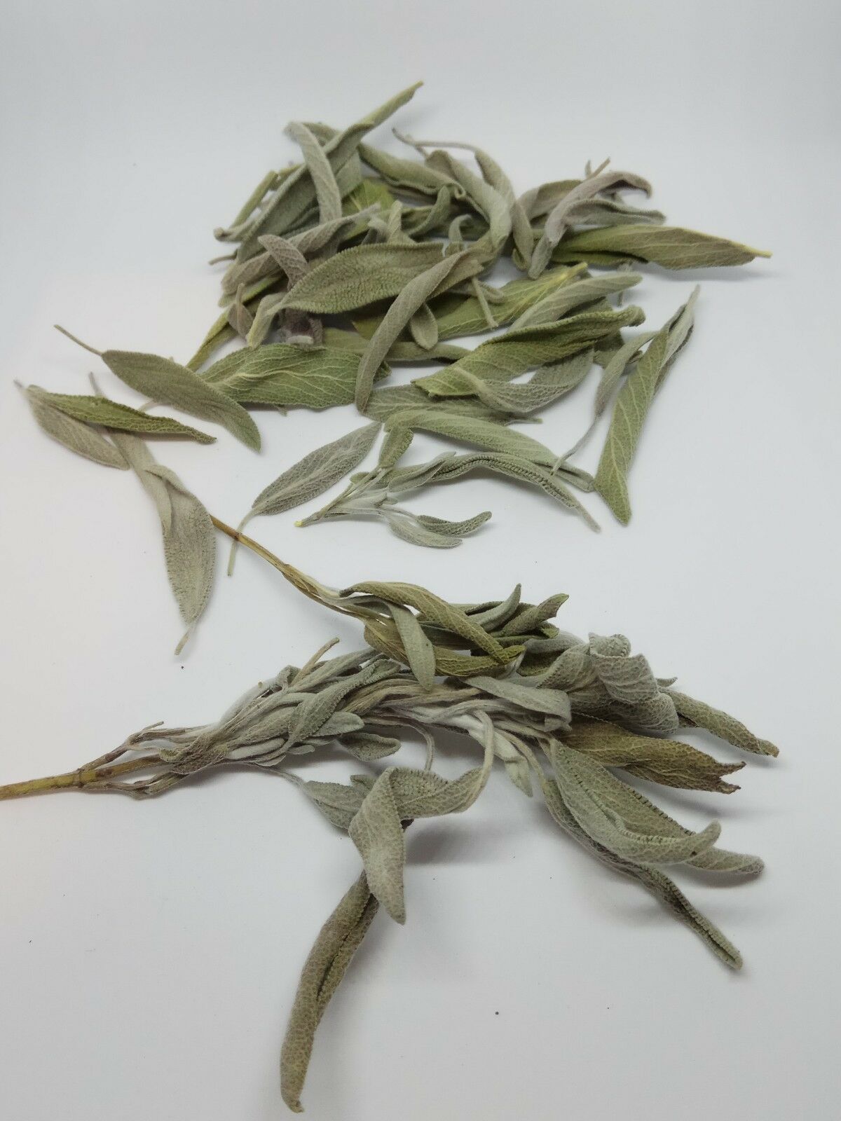 Sage leaf bay Salvia officinalis wild Organic dried tea bio