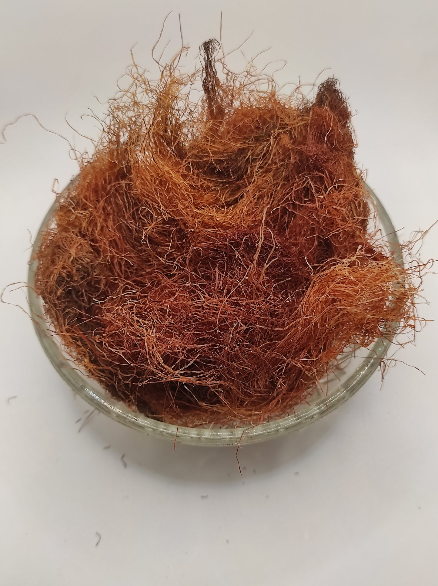 Corn Silk Herb Tea Zea Mays Mealy Silk dried
