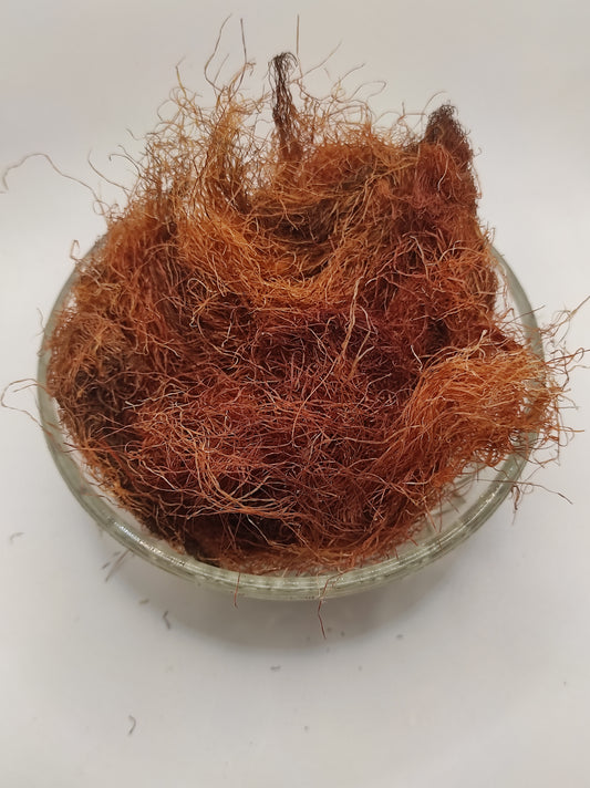 Corn Silk Herb Tea Zea Mays Mealy Silk dried