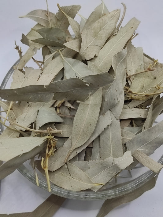 Organic Dried Eucalyptus Leaf Tea Herb 100% Natural Herbal Infusion Eucalyptus globulus