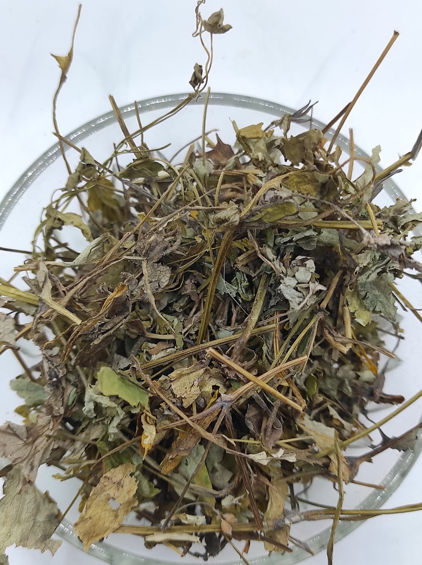Greater Celandine Dried Herb ORGANIC Tea Chelidonium Majus