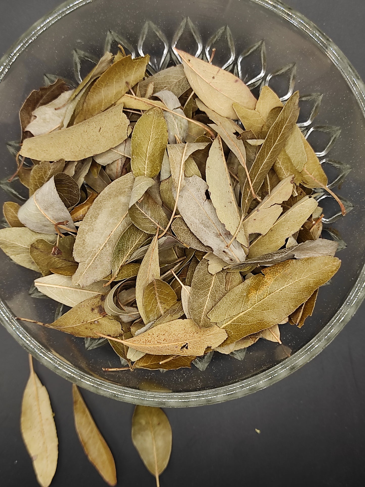 WILD PEAR Leaves ORGANIC Dried herb Pyrus pyraster Tea