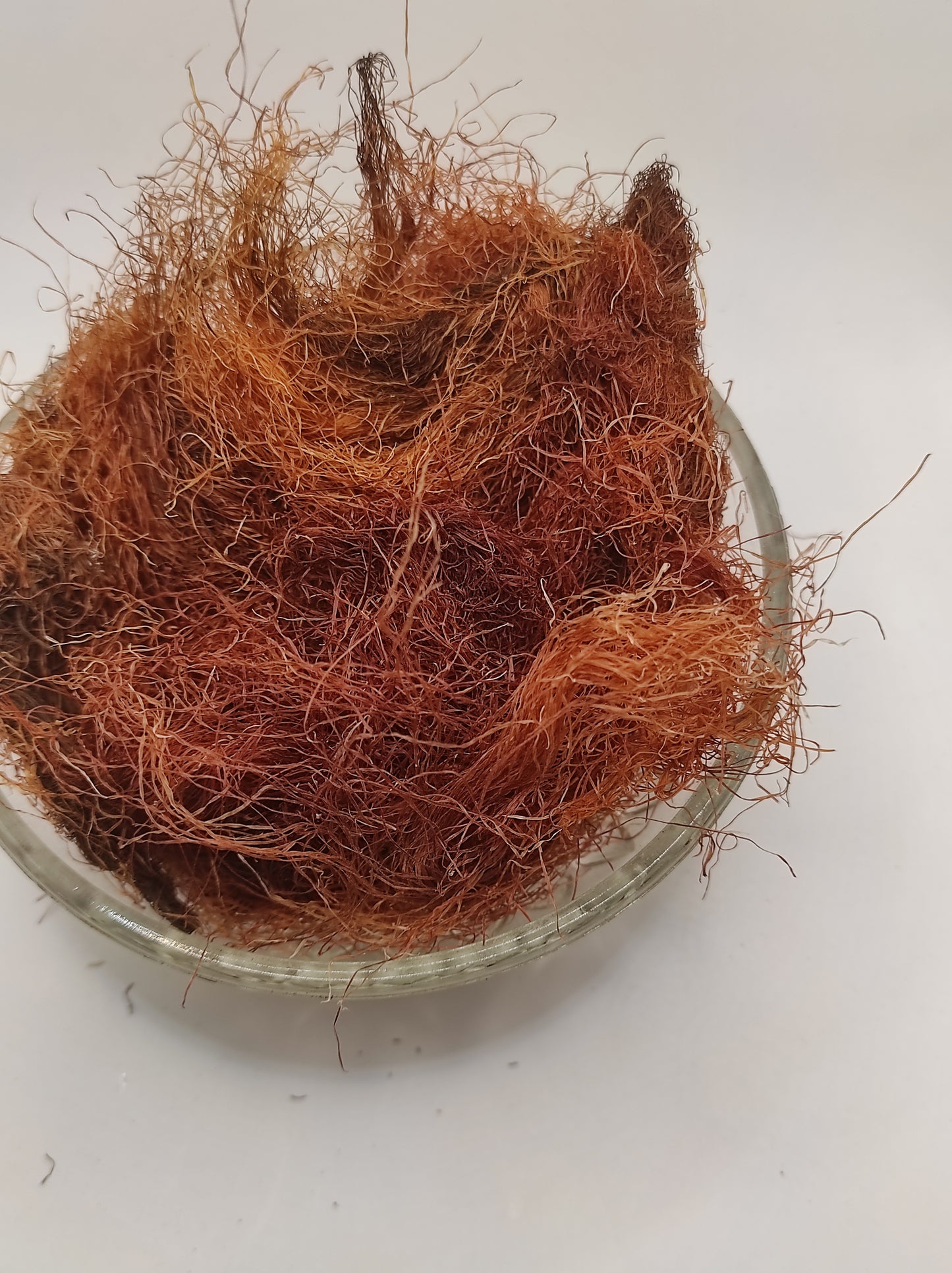 Corn Silk Herb Tea Zea Mays Mealy Silk dried