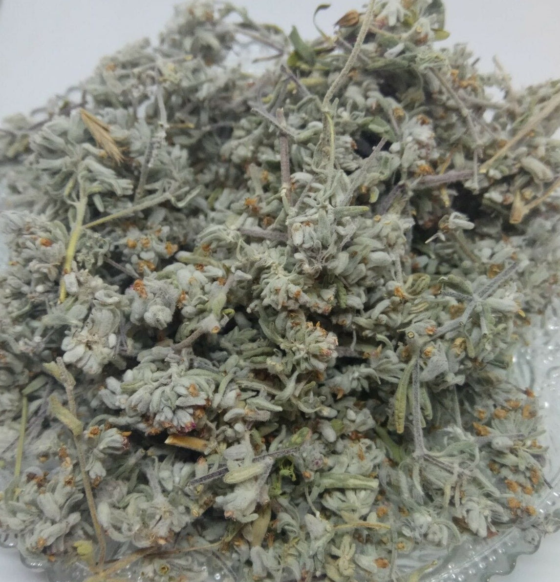 Mountain Germander Teucrium montanum Organic dried tea herb