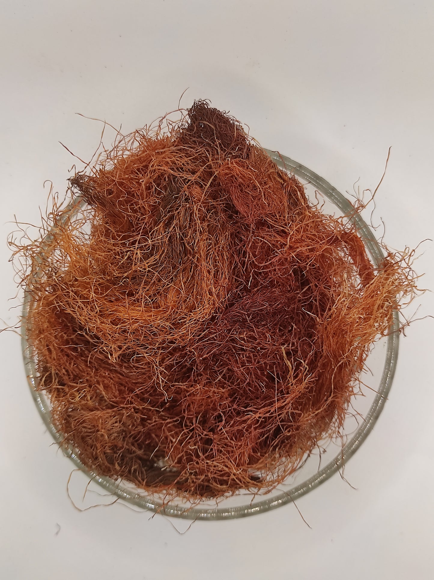 Corn Silk Herb Tea Zea Mays Mealy Silk dried