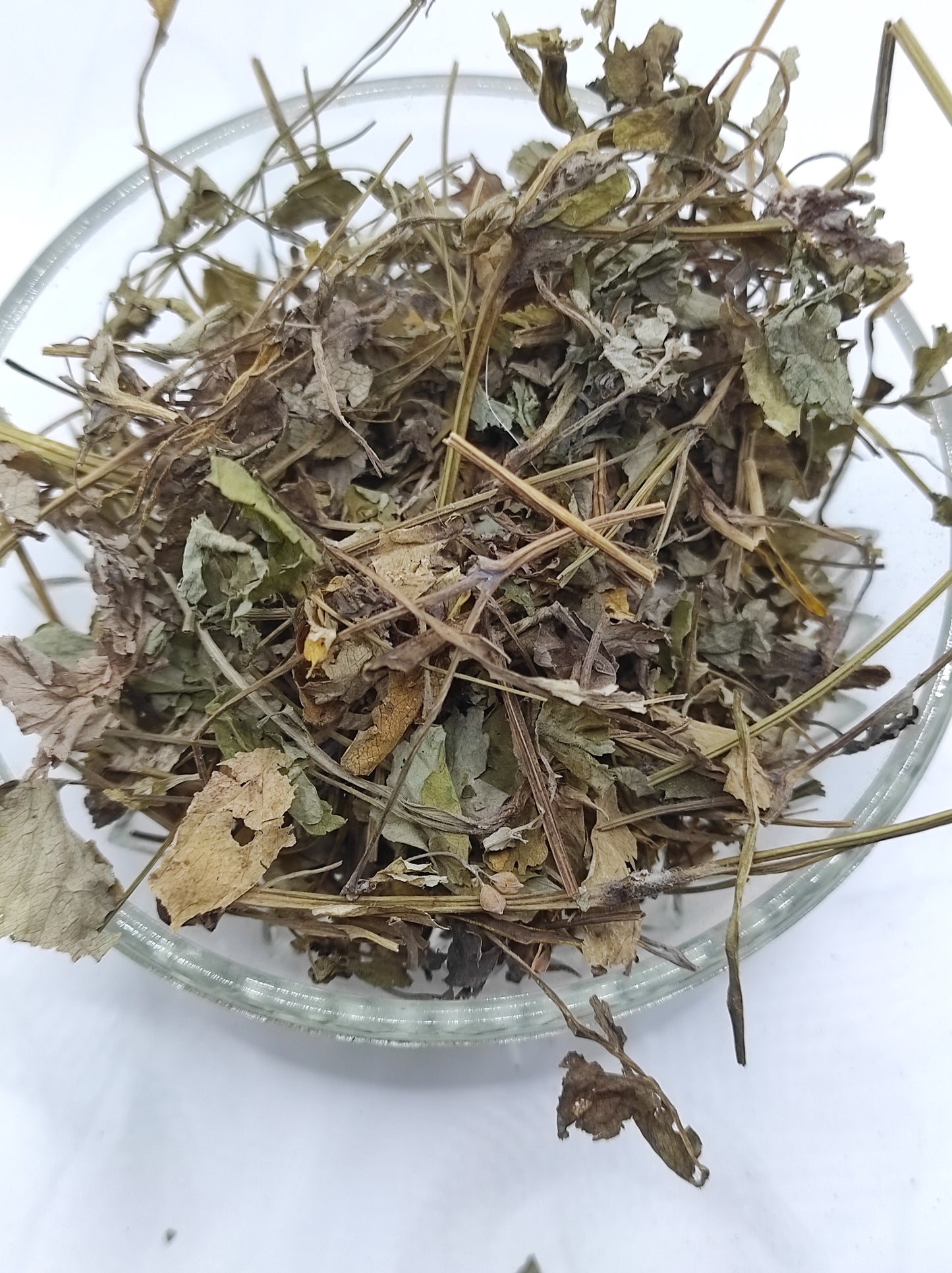 Greater Celandine Dried Herb ORGANIC Tea Chelidonium Majus
