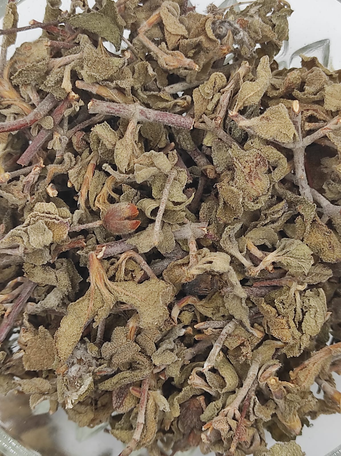 CISTUS incanus ROCKROSE Dried Herb Tea Wild Harvest