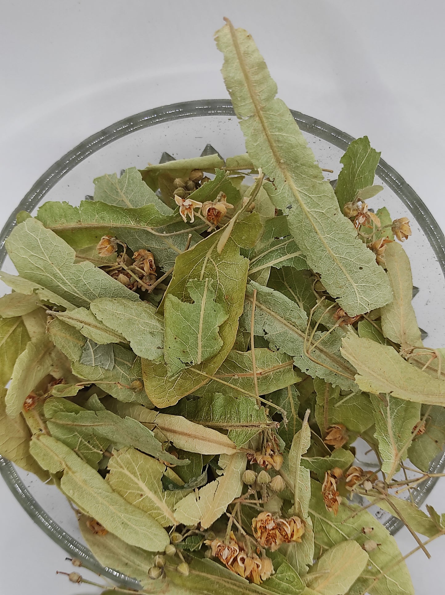 Linden flower bay Tilia Organic dried tea herb bio