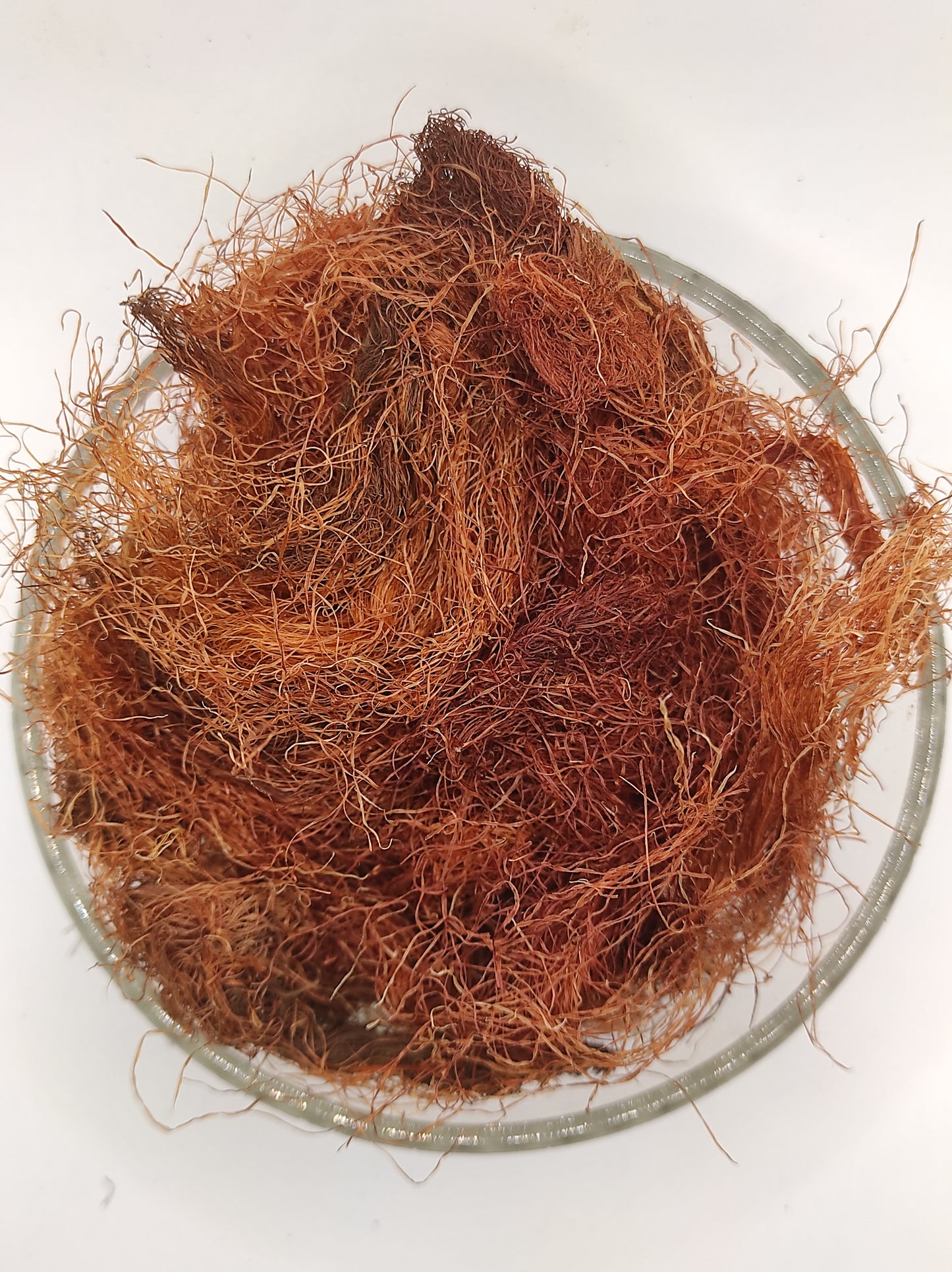 Corn Silk Herb Tea Zea Mays Mealy Silk dried