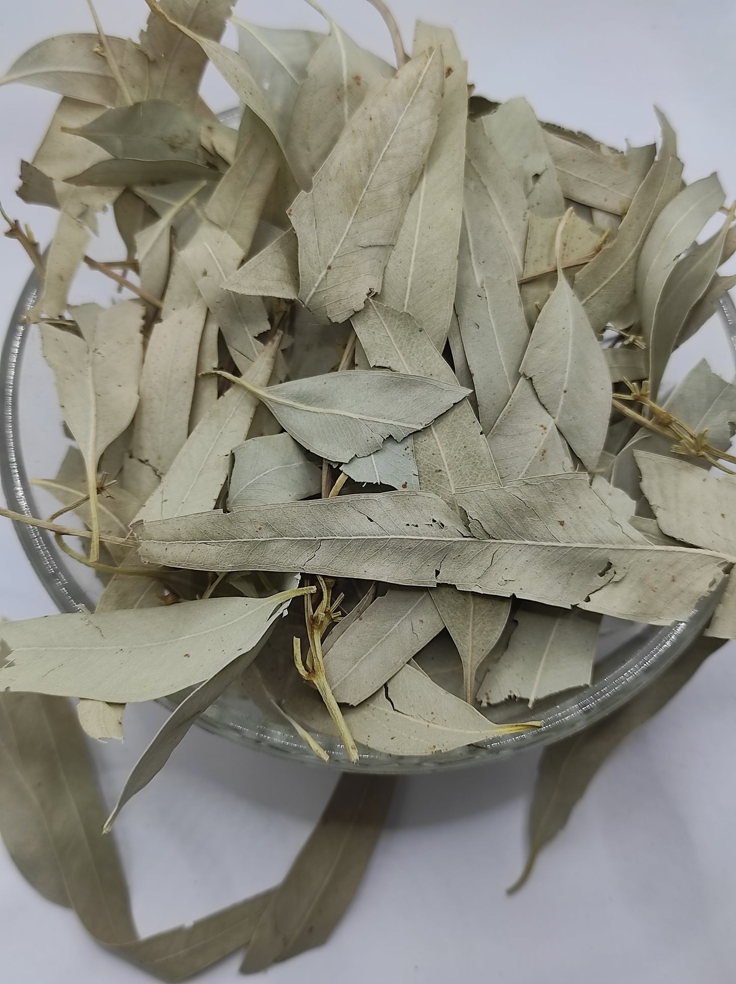 Organic Dried Eucalyptus Leaf Tea Herb 100% Natural Herbal Infusion Eucalyptus globulus