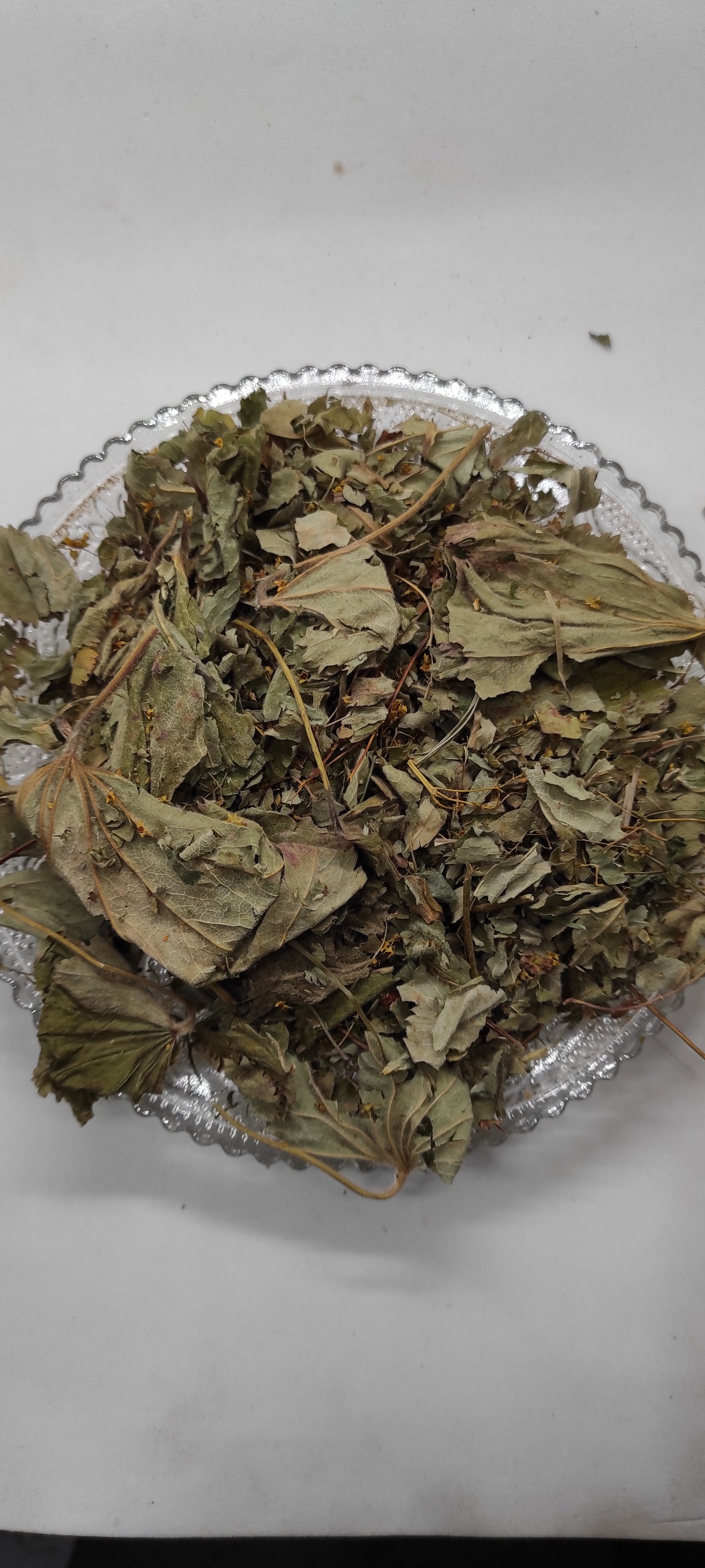 Lady's Mantle Herbal Tea  Dried Alchemilla Vulgaris Leaves  Organic Loose Leaf