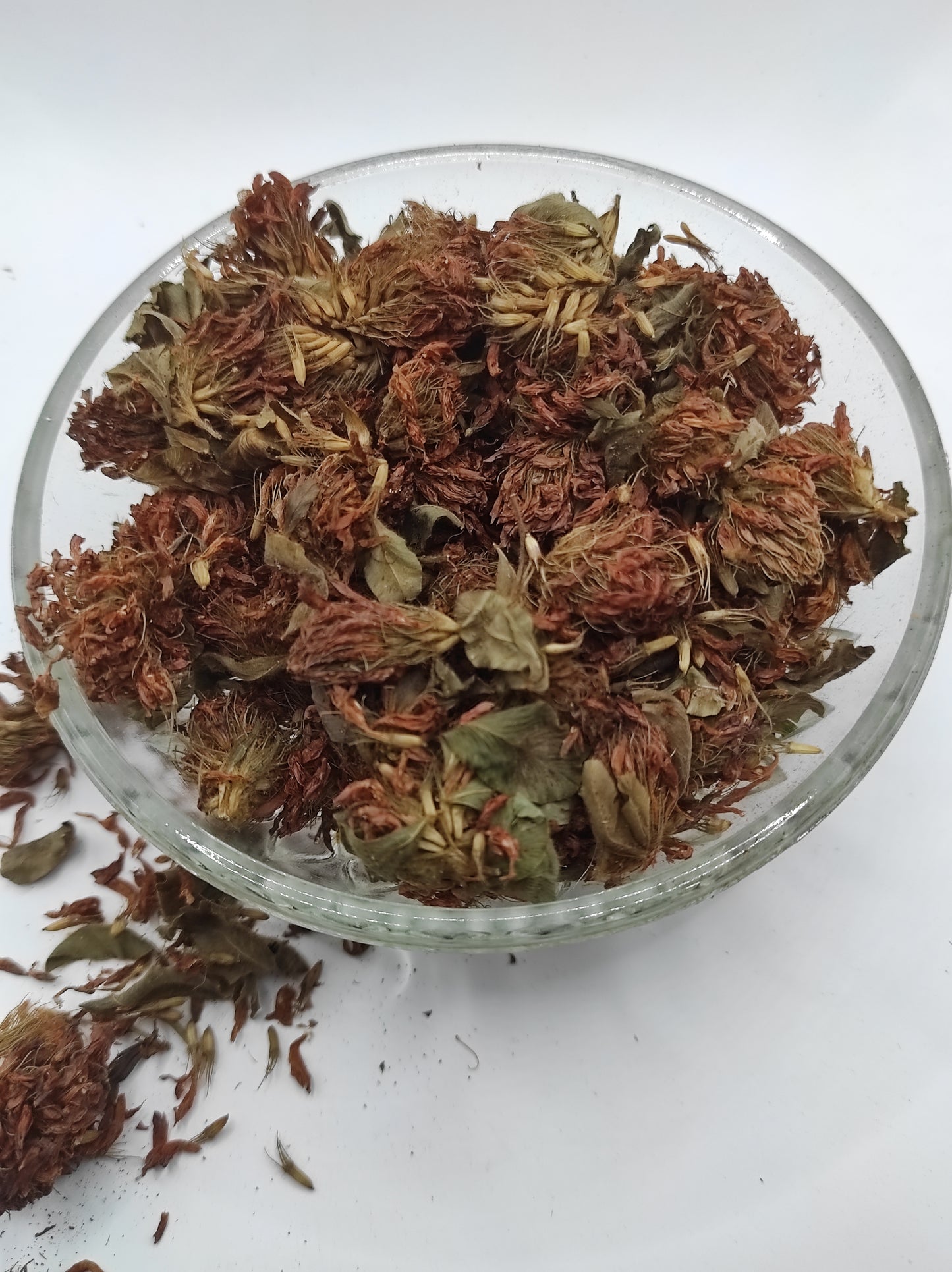 Organic Dried Red Clover Flowers Trifolium pratense Herbal Tea