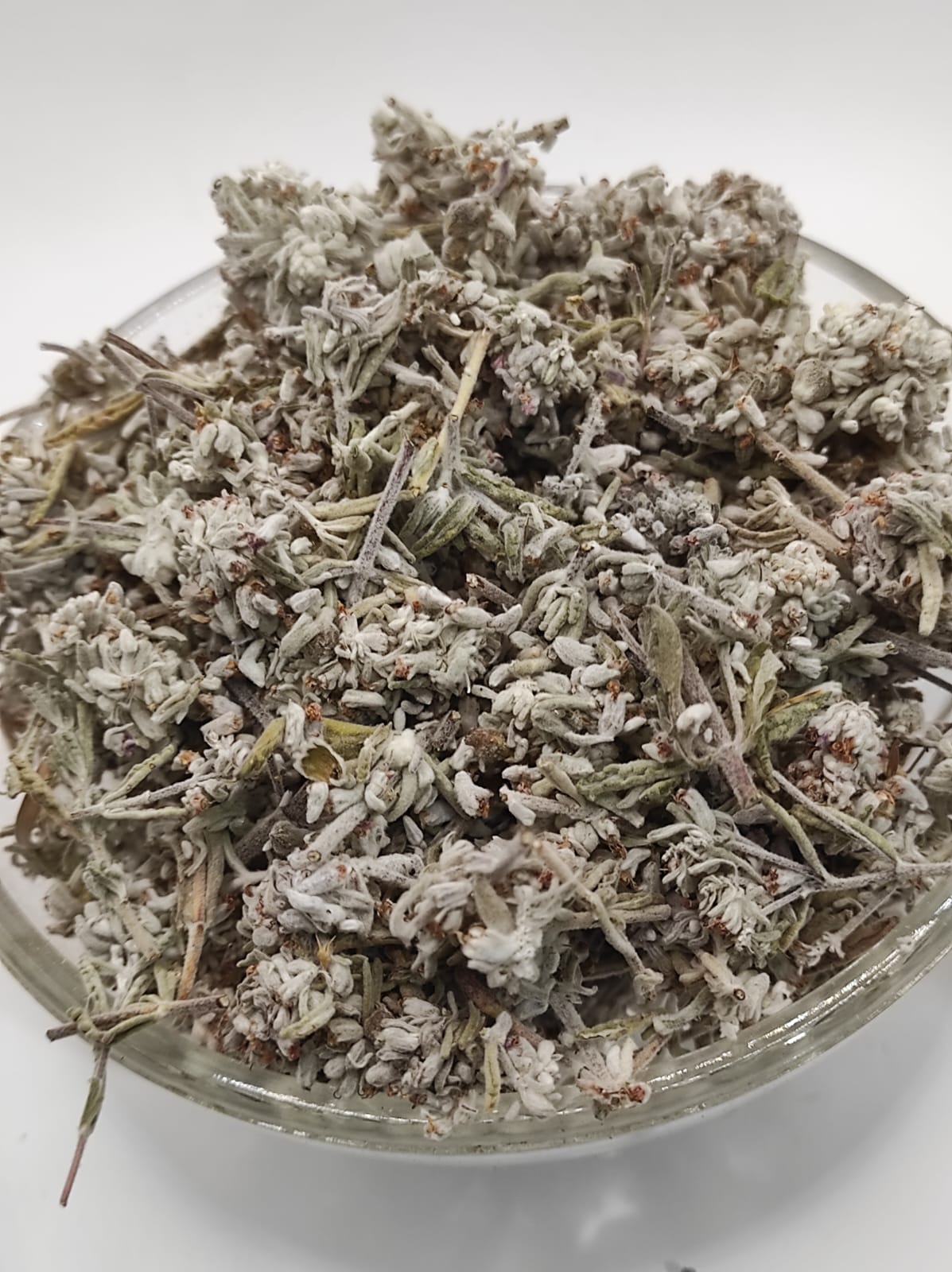 Mountain Germander Teucrium montanum Organic dried tea herb