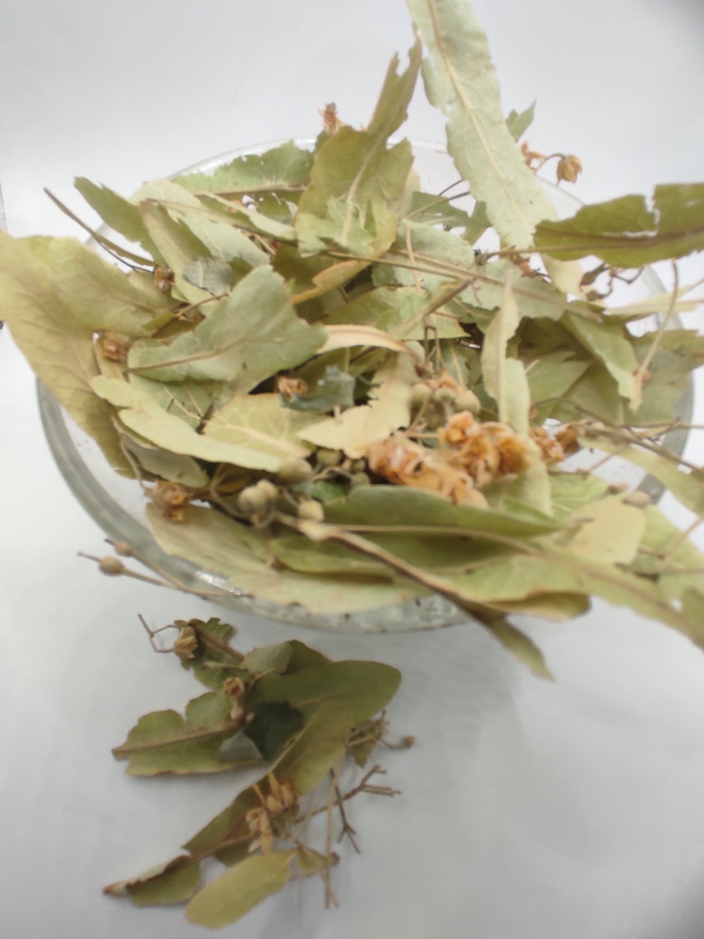 Linden flower bay Tilia Organic dried tea herb bio