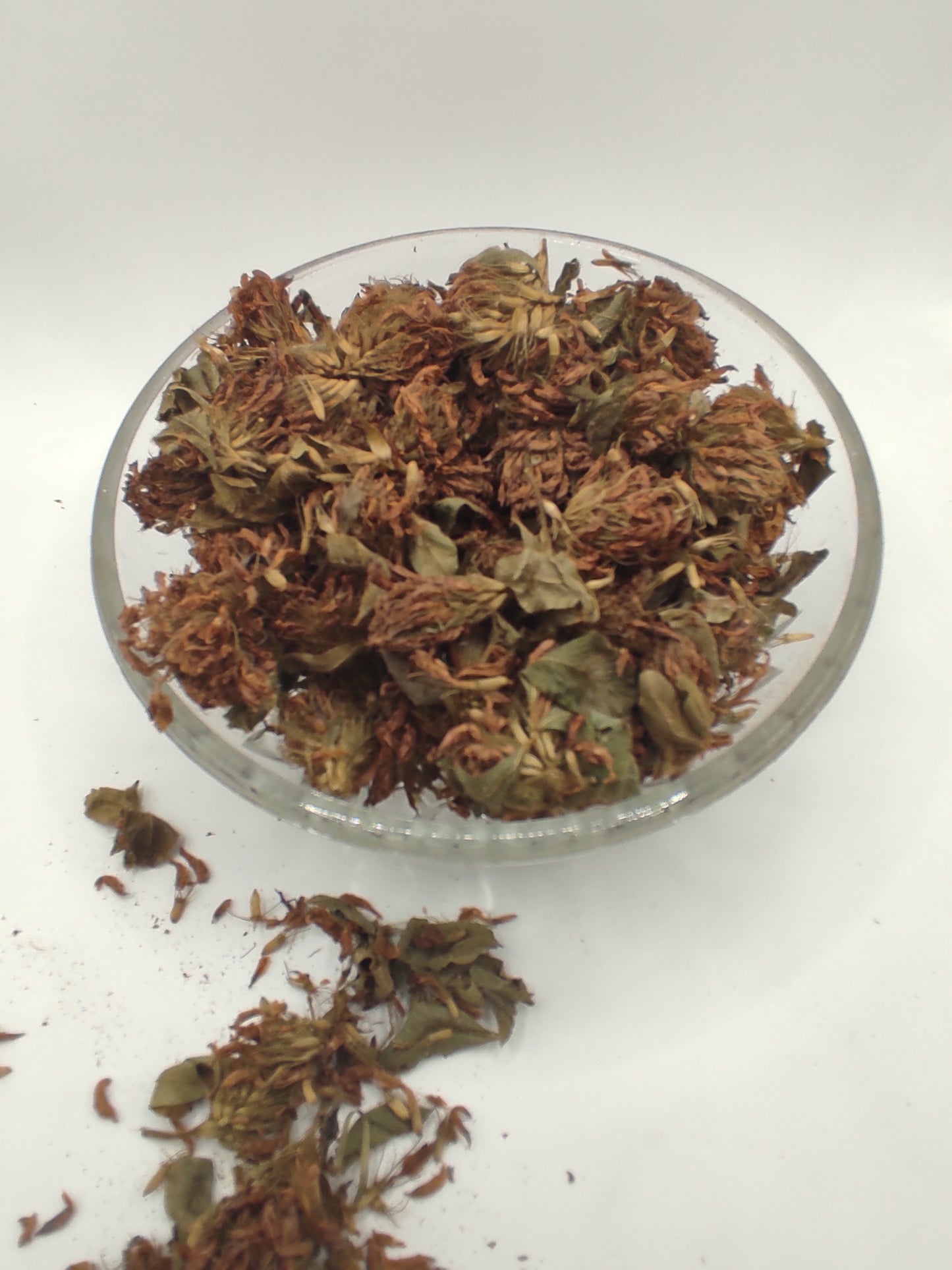 Organic Dried Red Clover Flowers Trifolium pratense Herbal Tea