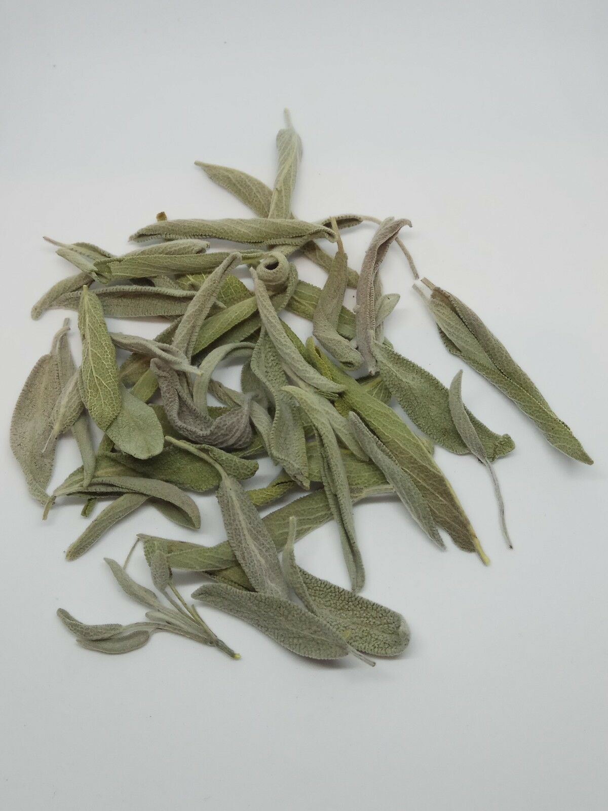 Sage leaf bay Salvia officinalis wild Organic dried tea bio