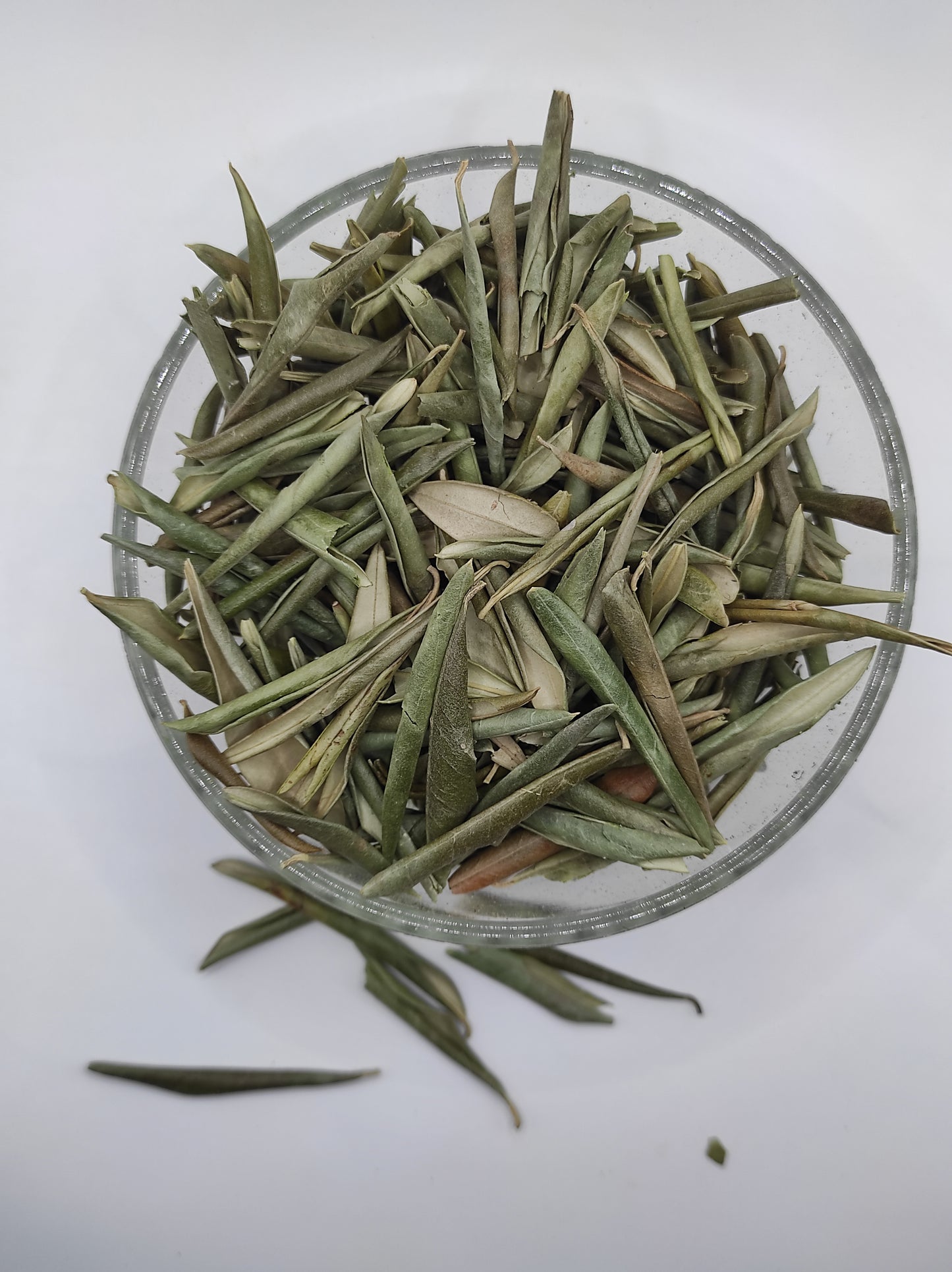 Organic Olive Leaf Tea Olea europaea Dried Leaves  Bio  Natural