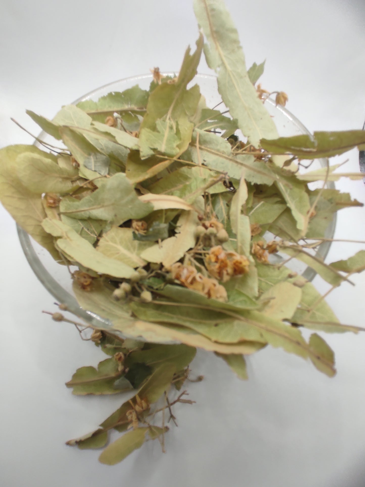 Linden flower bay Tilia Organic dried tea herb bio