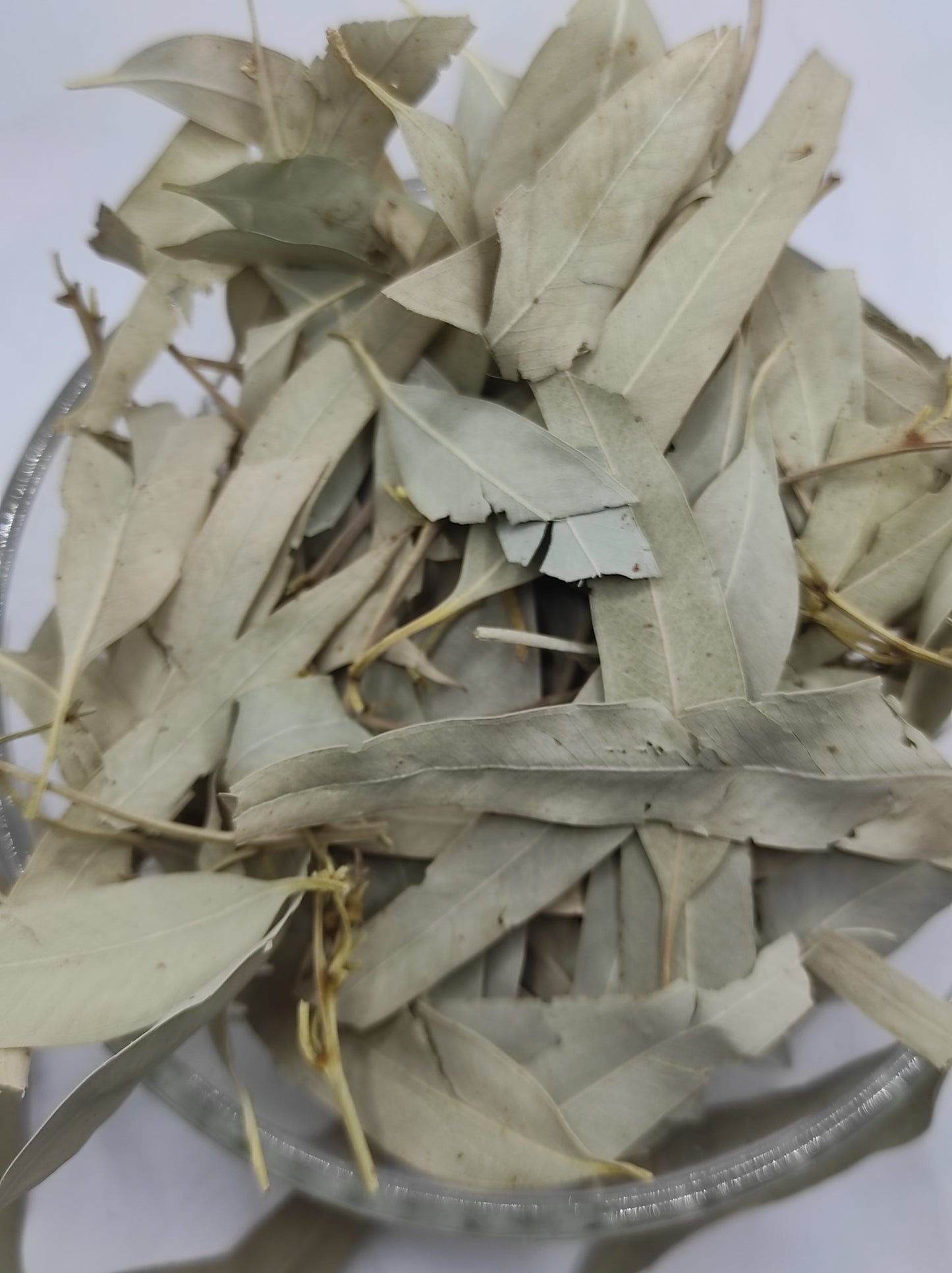 Organic Dried Eucalyptus Leaf Tea Herb 100% Natural Herbal Infusion Eucalyptus globulus
