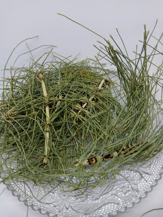 Horsetail Equisetum arvense dried Leaf Leaves Loose Herbal Organic Tea