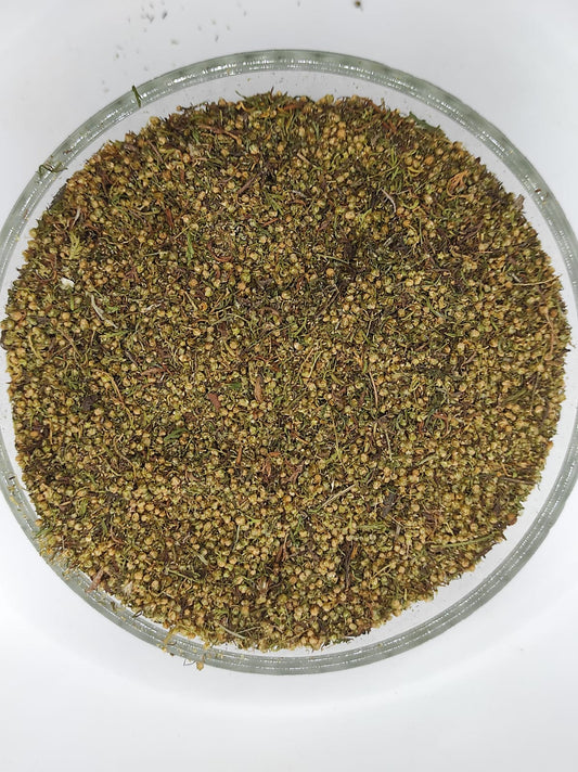 Artemisia Annua  Sweet Wormwood Natural Herbal