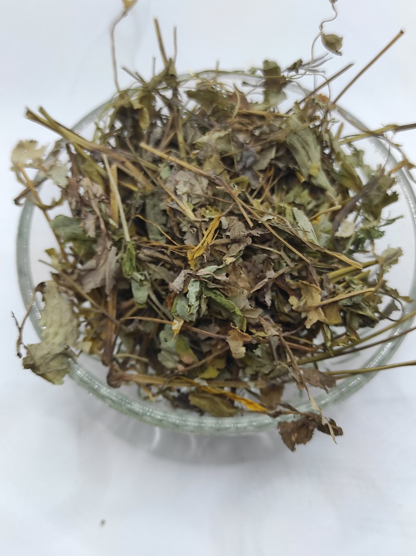 Greater Celandine Dried Herb ORGANIC Tea Chelidonium Majus
