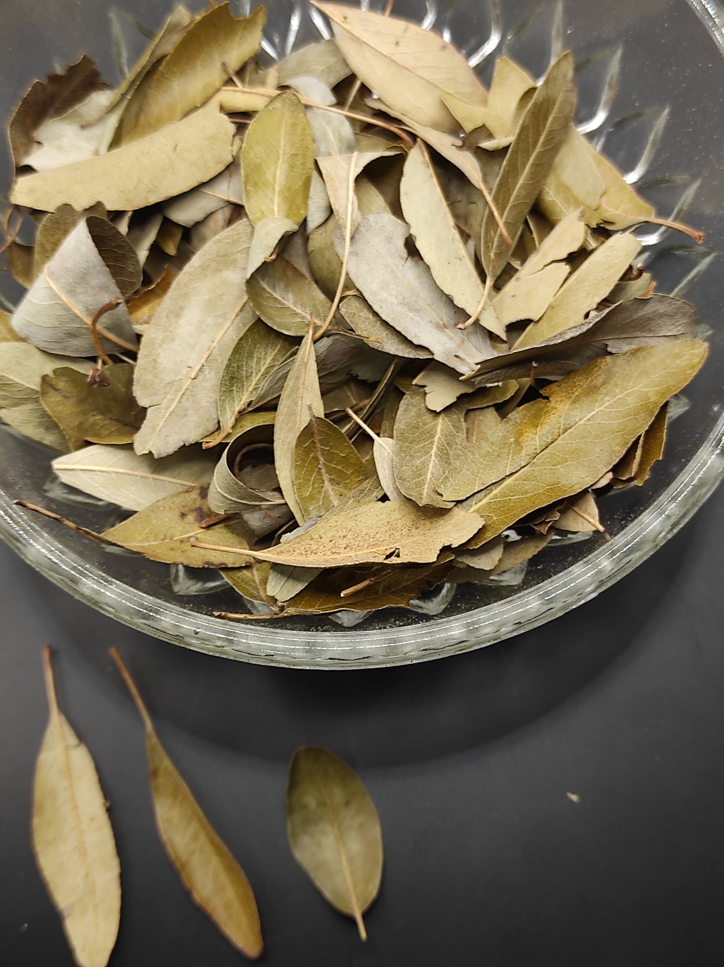WILD PEAR Leaves ORGANIC Dried herb Pyrus pyraster Tea