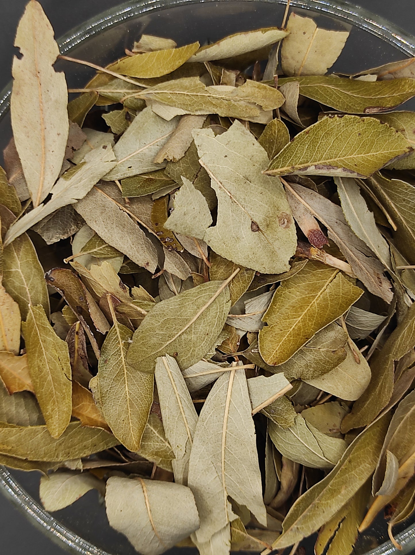 WILD PEAR Leaves ORGANIC Dried herb Pyrus pyraster Tea