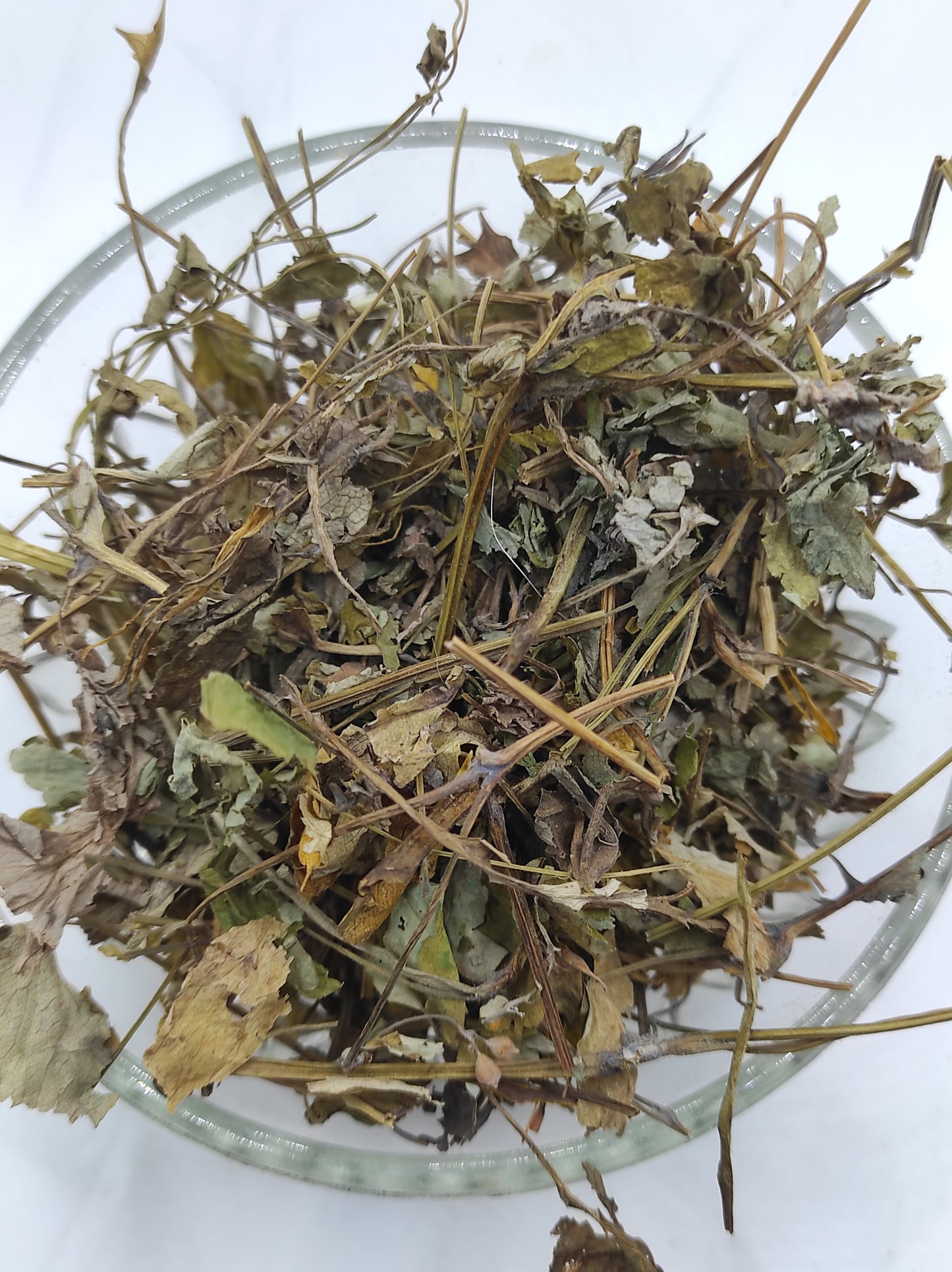 Greater Celandine Dried Herb ORGANIC Tea Chelidonium Majus