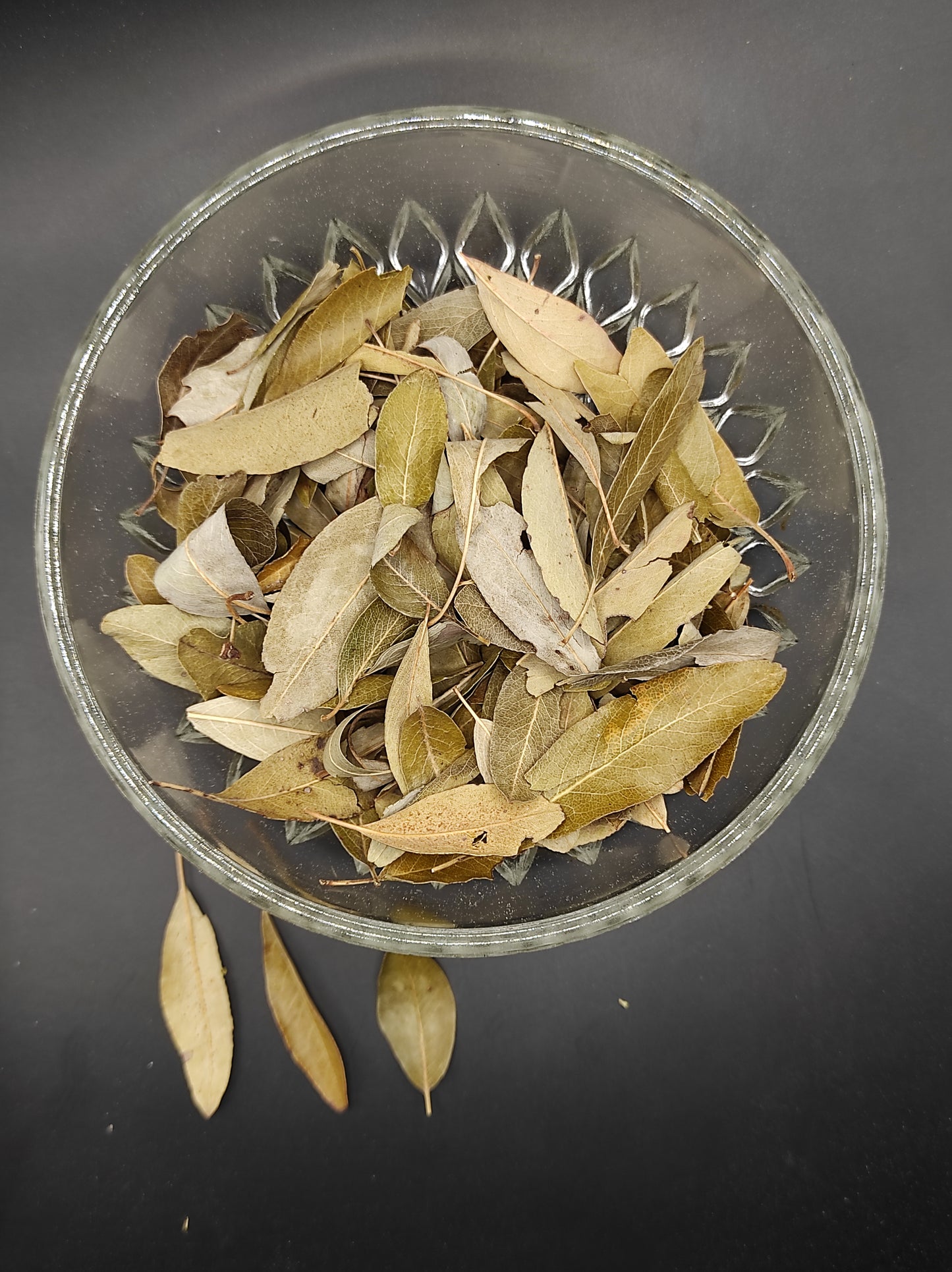 WILD PEAR Leaves ORGANIC Dried herb Pyrus pyraster Tea