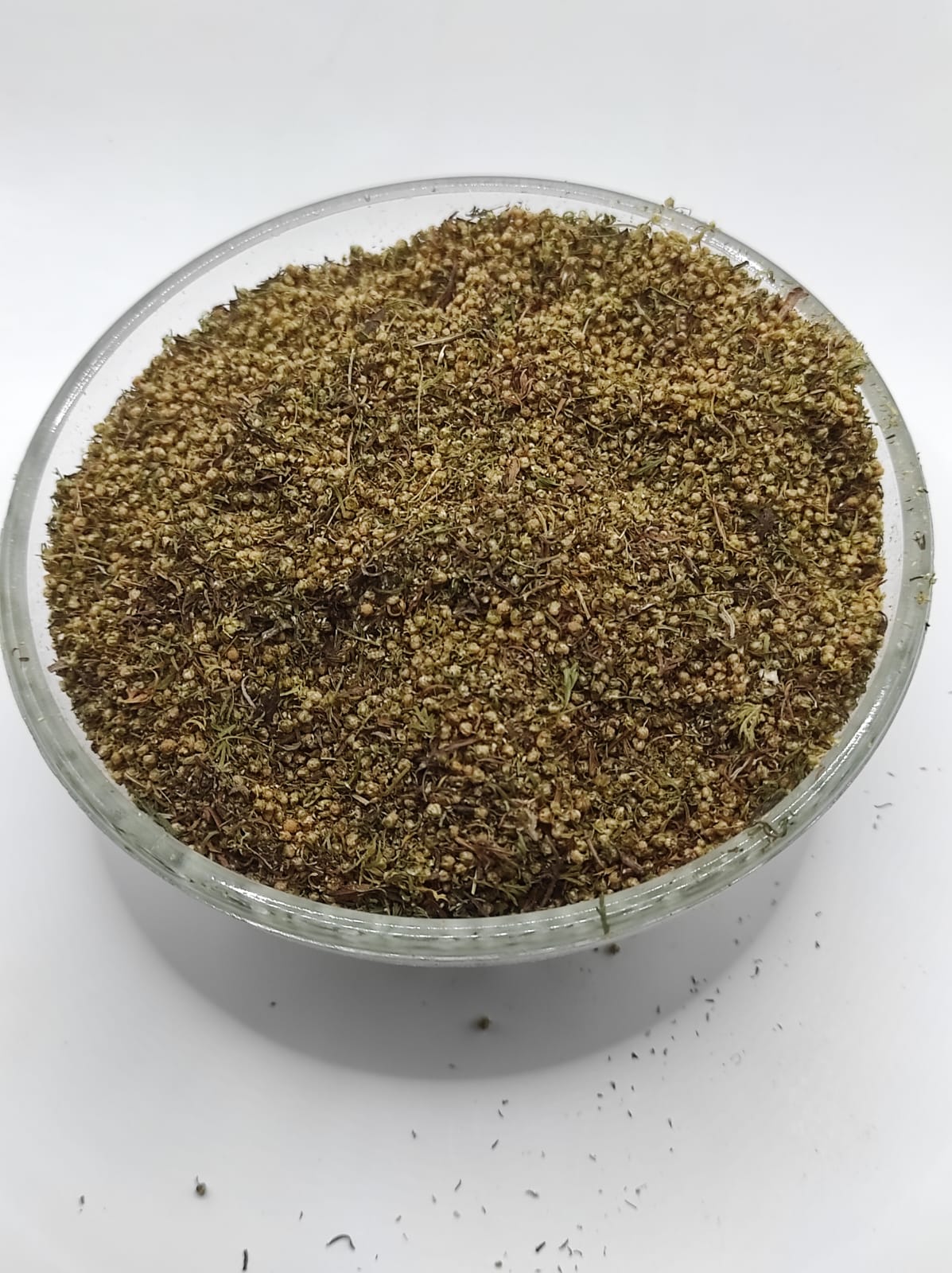 Artemisia Annua  Sweet Wormwood Natural Herbal