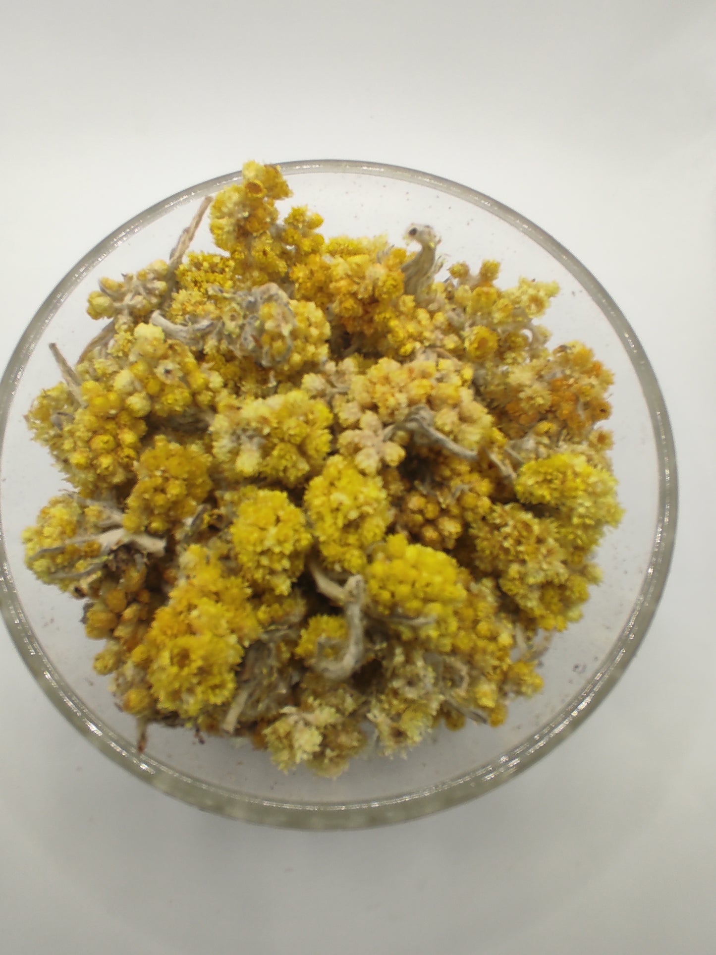 Helichrysum flower bay Organic dried tea herb bio