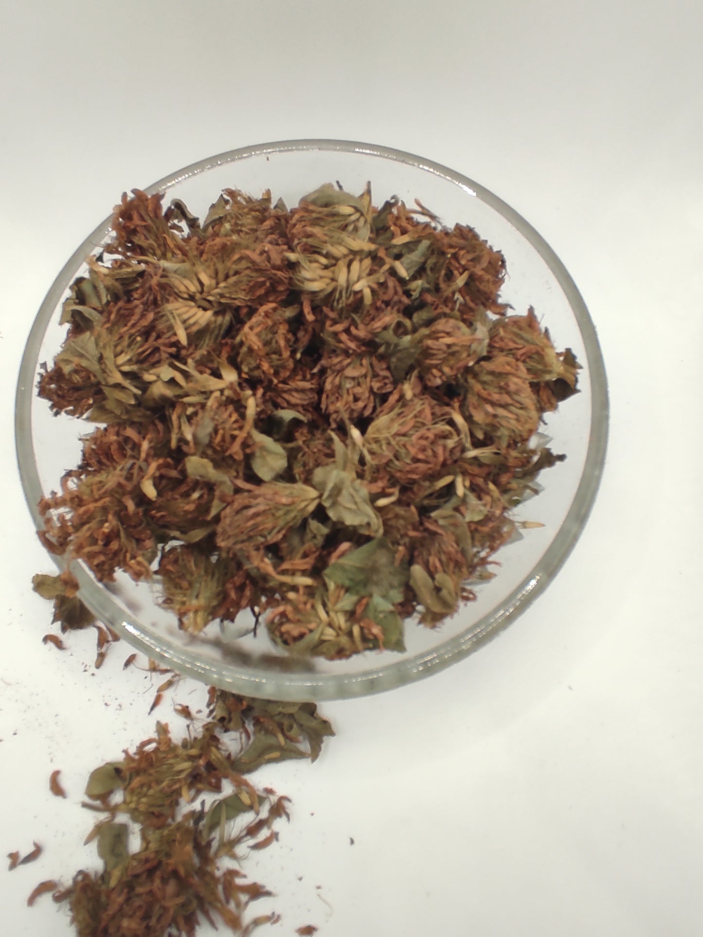 Organic Dried Red Clover Flowers Trifolium pratense Herbal Tea