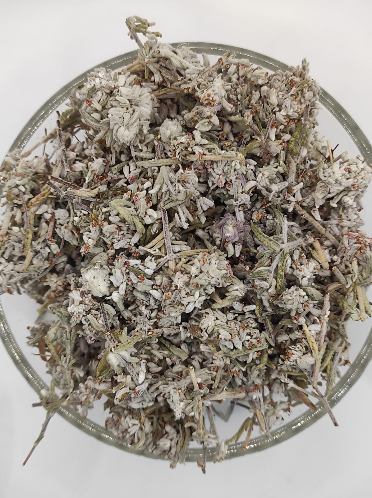 Mountain Germander Teucrium montanum Organic dried tea herb