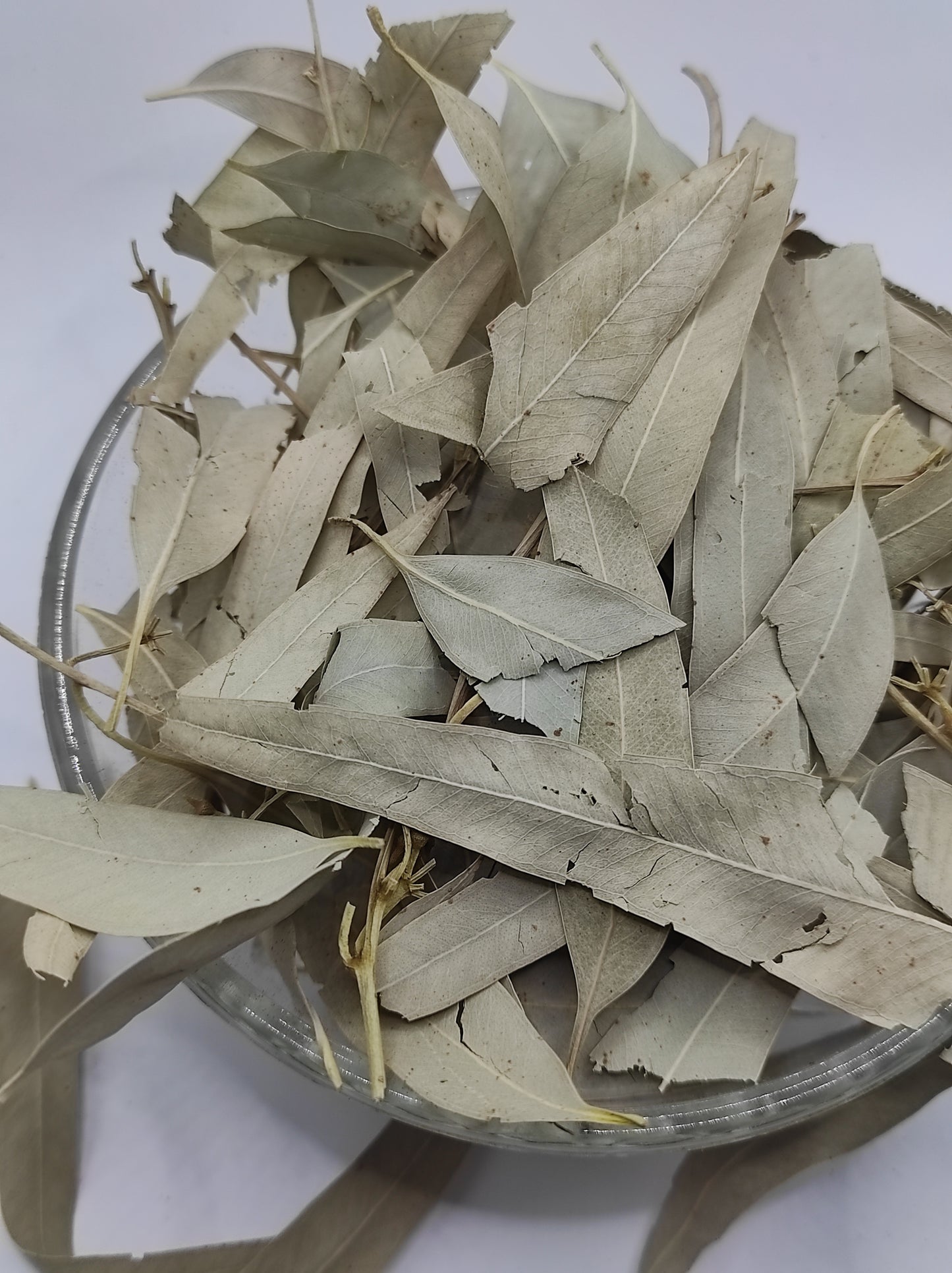 Organic Dried Eucalyptus Leaf Tea Herb 100% Natural Herbal Infusion Eucalyptus globulus