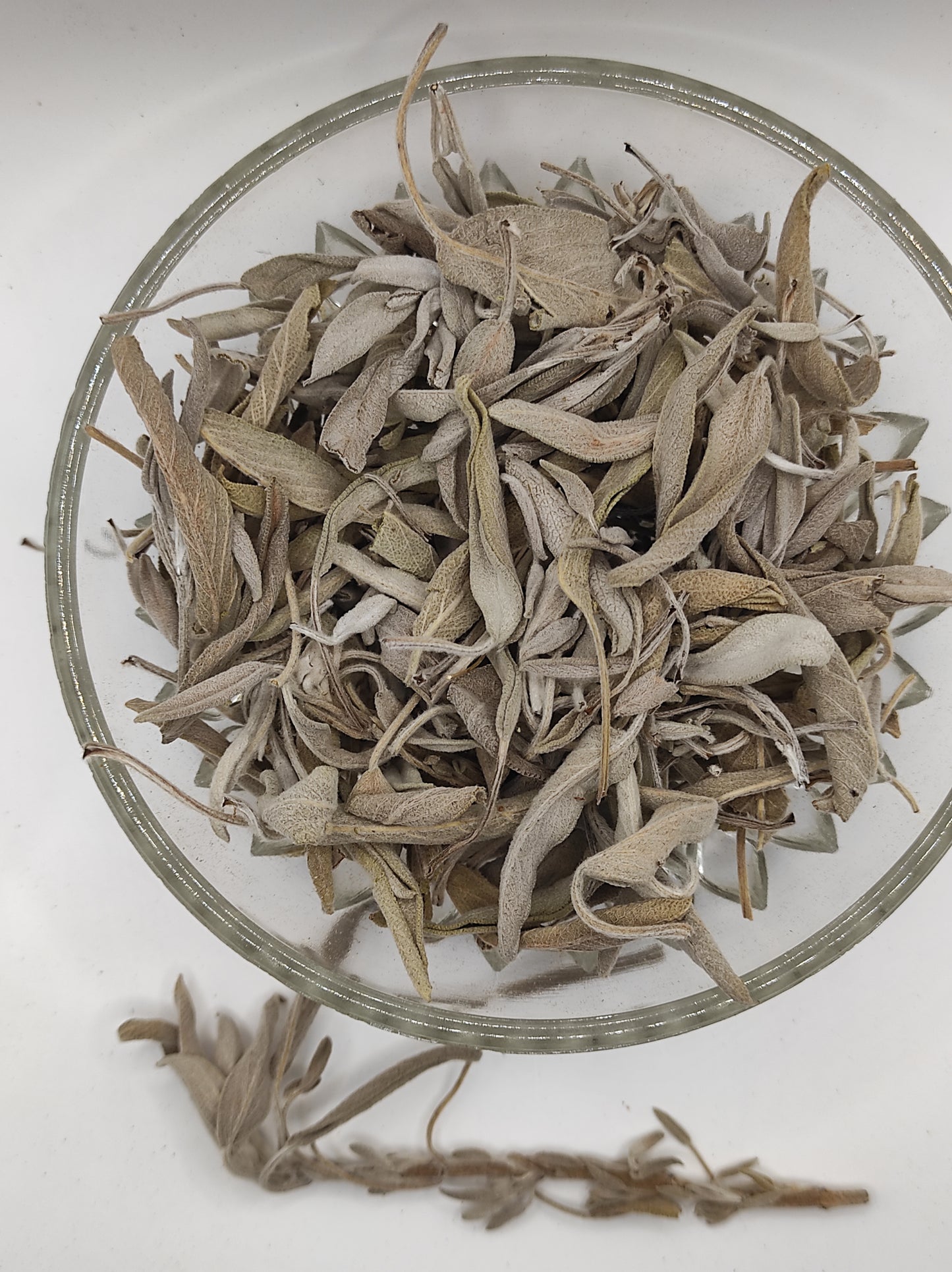 Sage leaf bay Salvia officinalis wild Organic dried tea bio