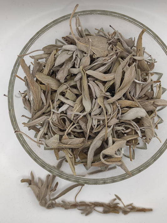 Sage leaf bay Salvia officinalis wild Organic dried tea bio