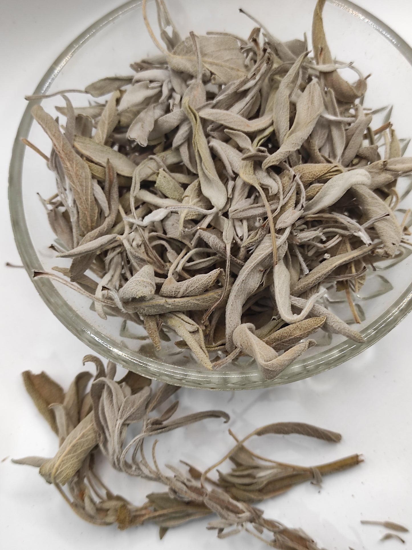 Sage leaf bay Salvia officinalis wild Organic dried tea bio