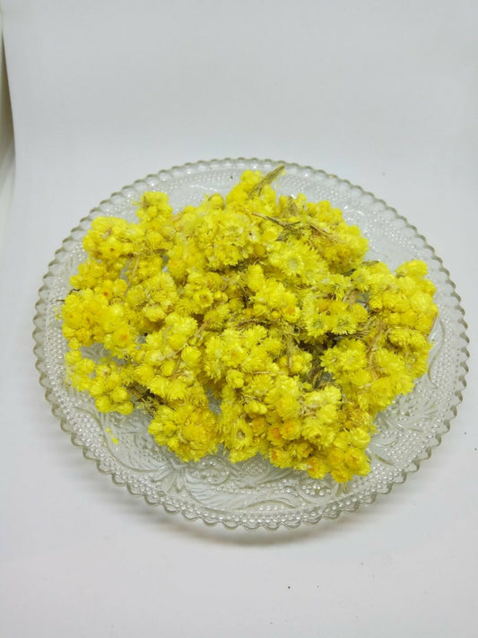 Helichrysum flower bay Organic dried tea herb bio
