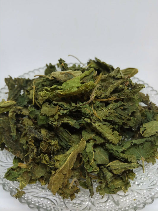 Organic Dried Stinging Nettle Leaf Tea – Urtica dioica  Natural Herbal Infusion Loose Leaf