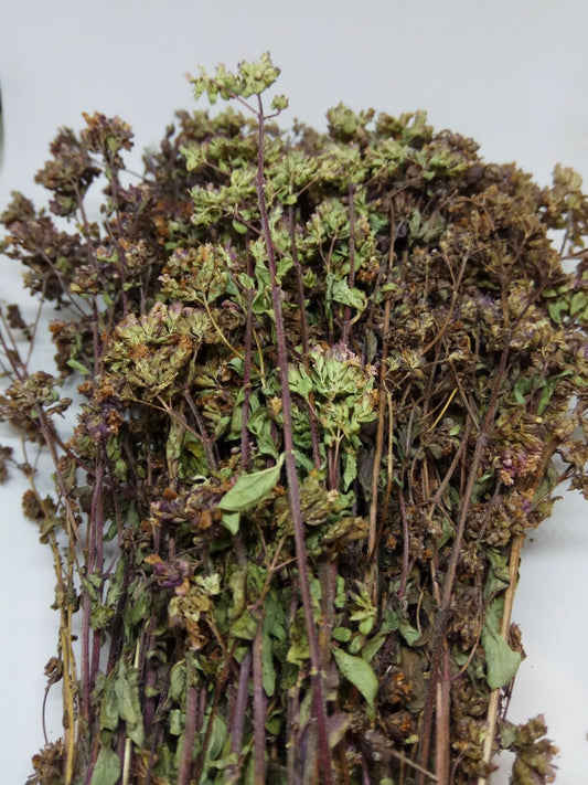 Raw Oregano Bunch