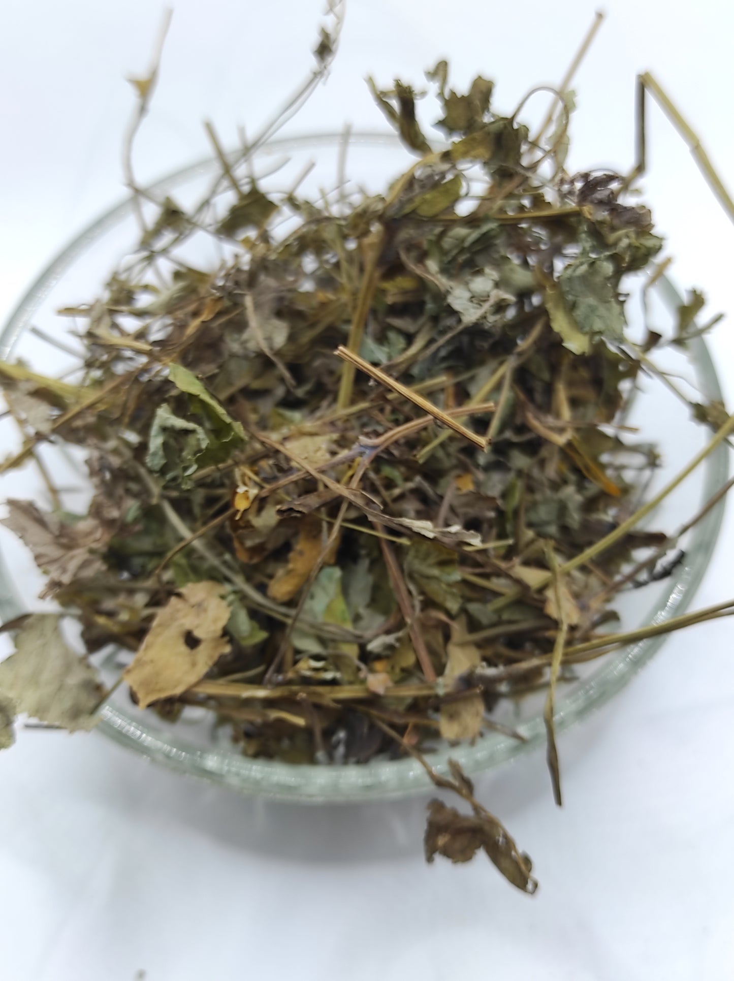Greater Celandine Dried Herb ORGANIC Tea Chelidonium Majus